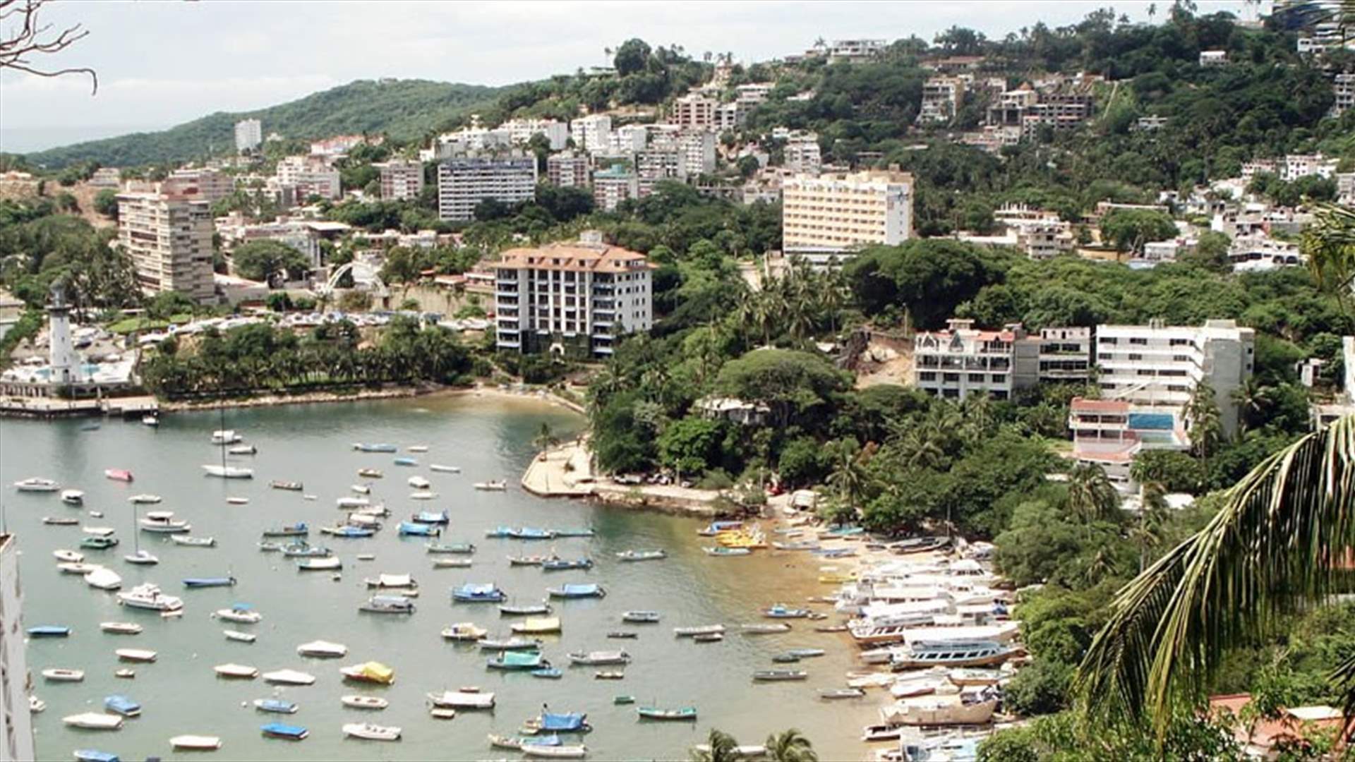 7 جثث مشوهة في ميناء سياحي... 