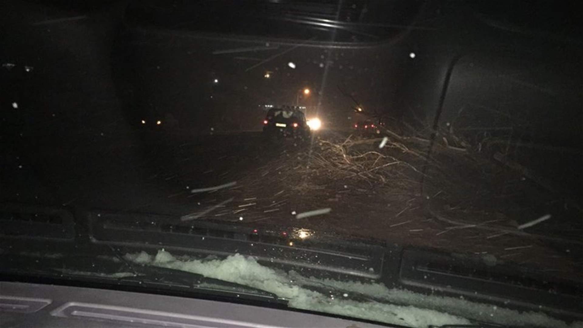 Toddler dies in Akkar after tree falls on her home