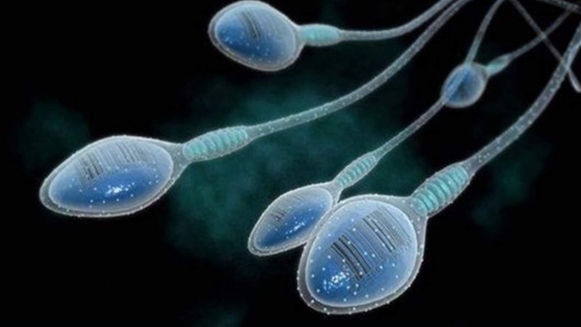 ما هو تأثير مشاهدة التلفاز على الحيوانات المنوية؟ 