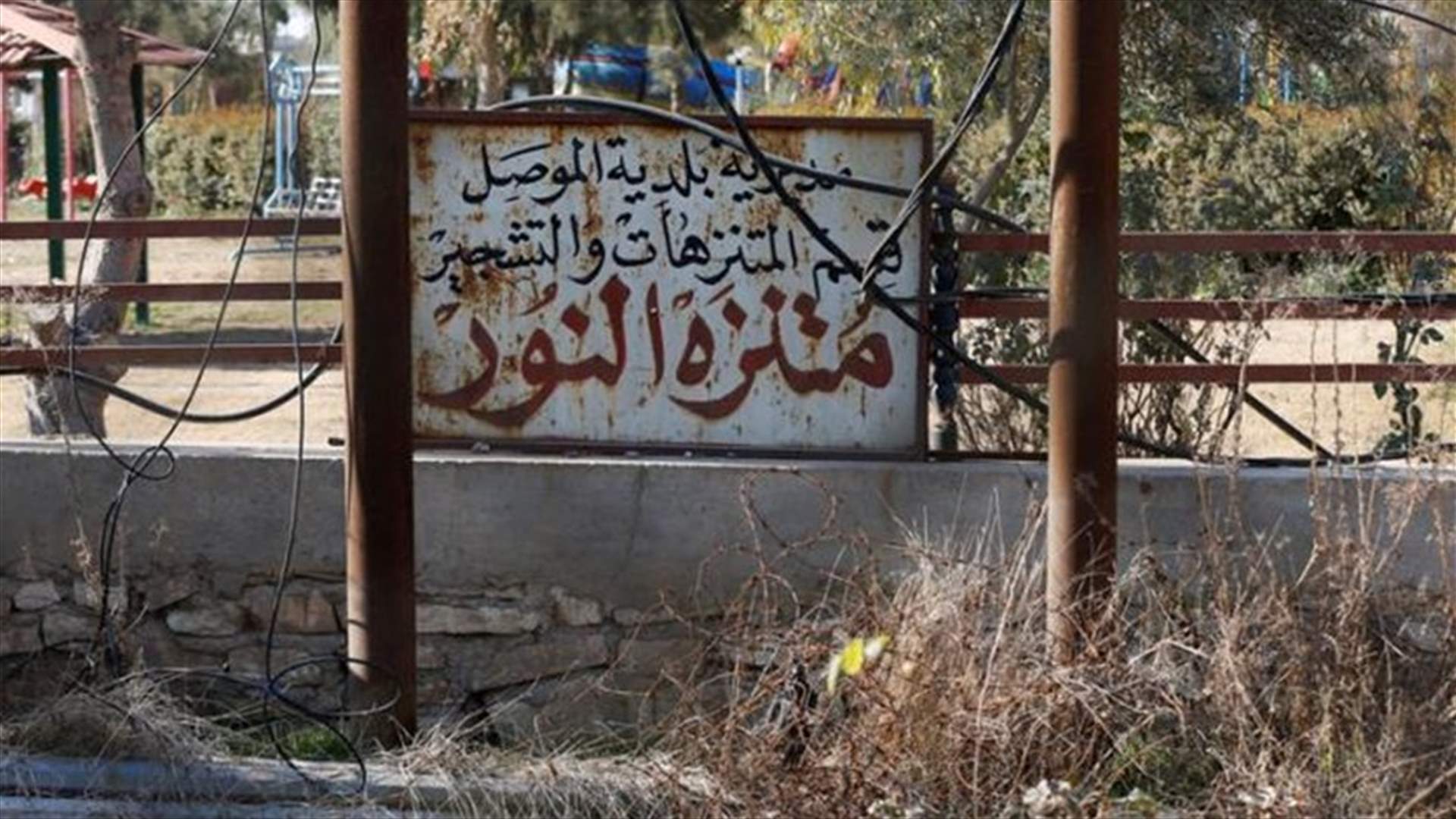 Starving Mosul Zoo Animals Receive First Food In A Month