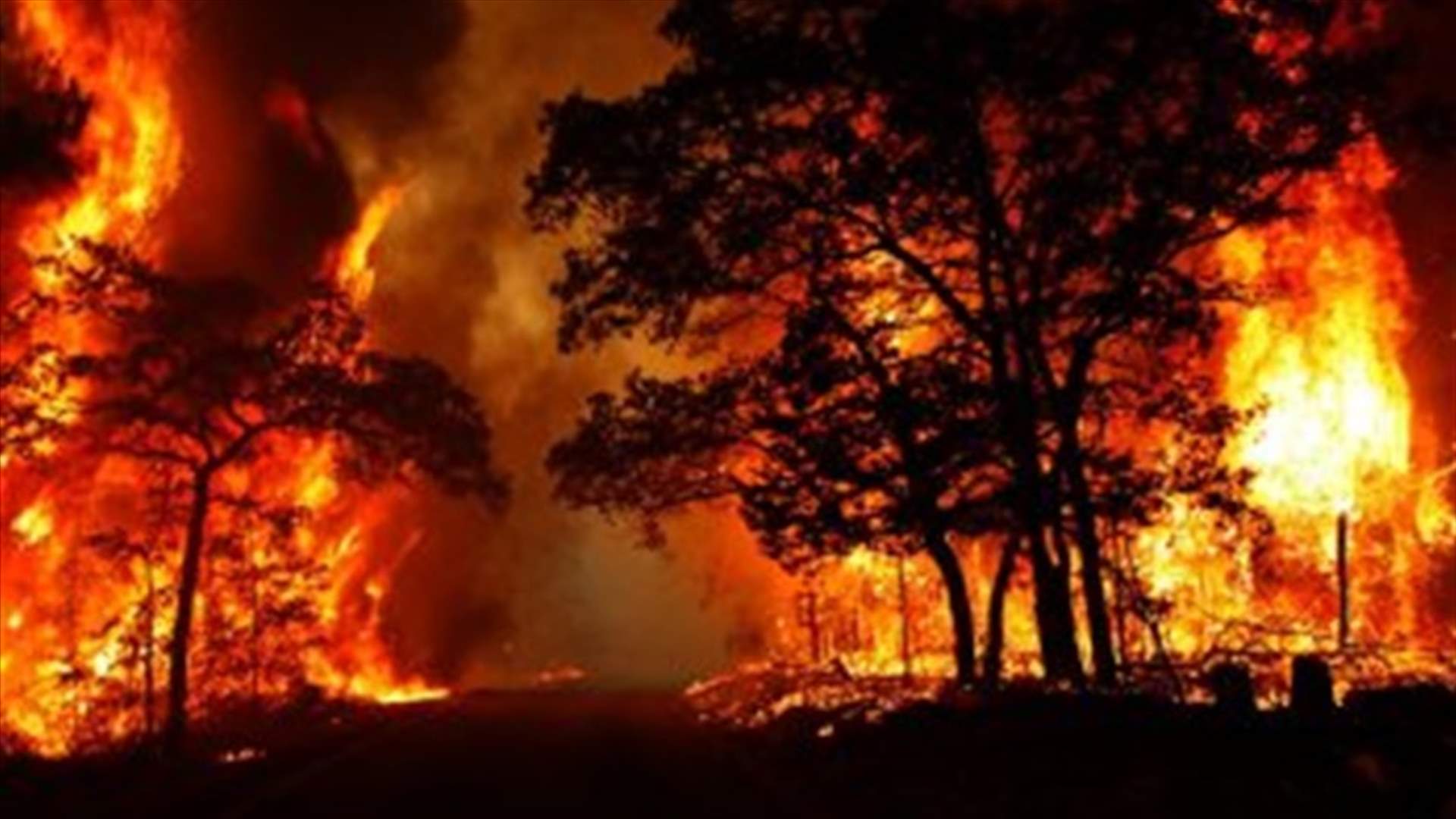 رجال الإطفاء يكافحون لاحتواء حرائق غابات في نيوزيلندا