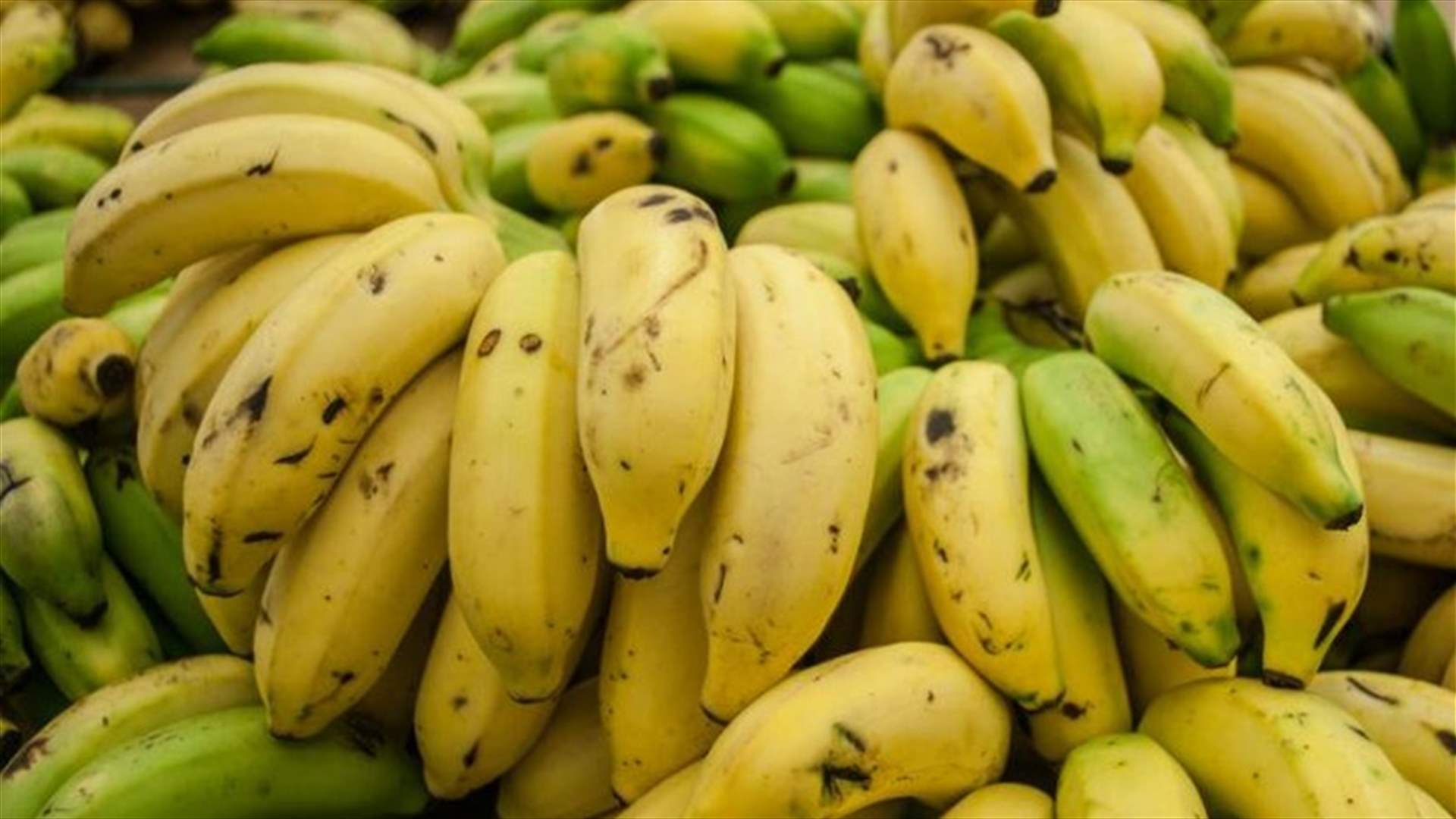 حقائق مذهلة عن الموز ستصدمك!
