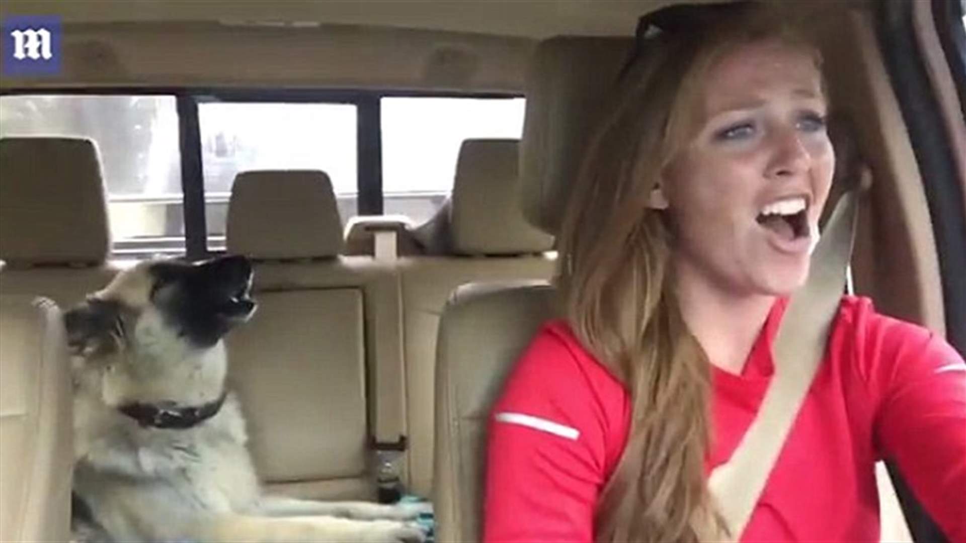 بالفيديو: هذه الكلبة تجيد... &quot;الغناء&quot;!