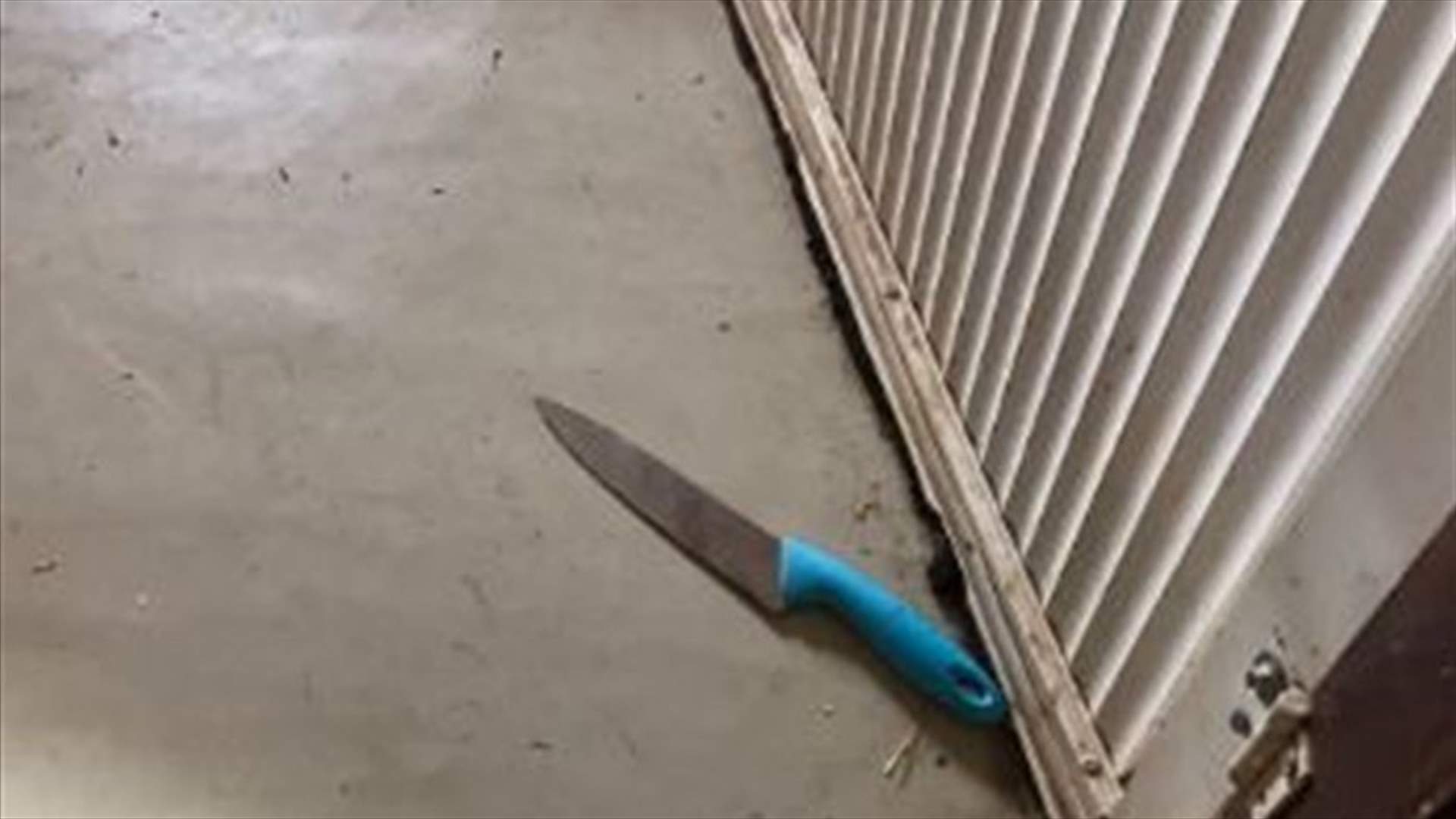 Israeli settler shoots, kills knife-wielding Palestinian assailant