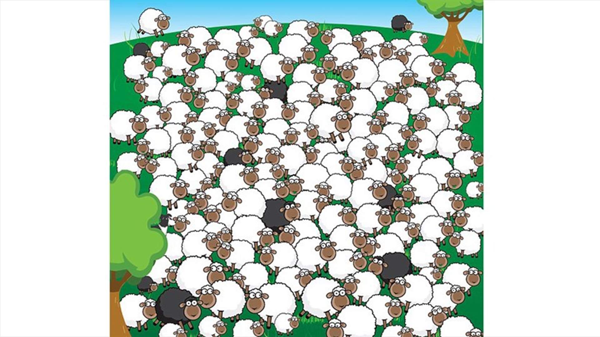 هل أنتم قادرون على إيجاد الخروف المميز والكلب الذي يرافق القطيع في هذه الصورة؟
