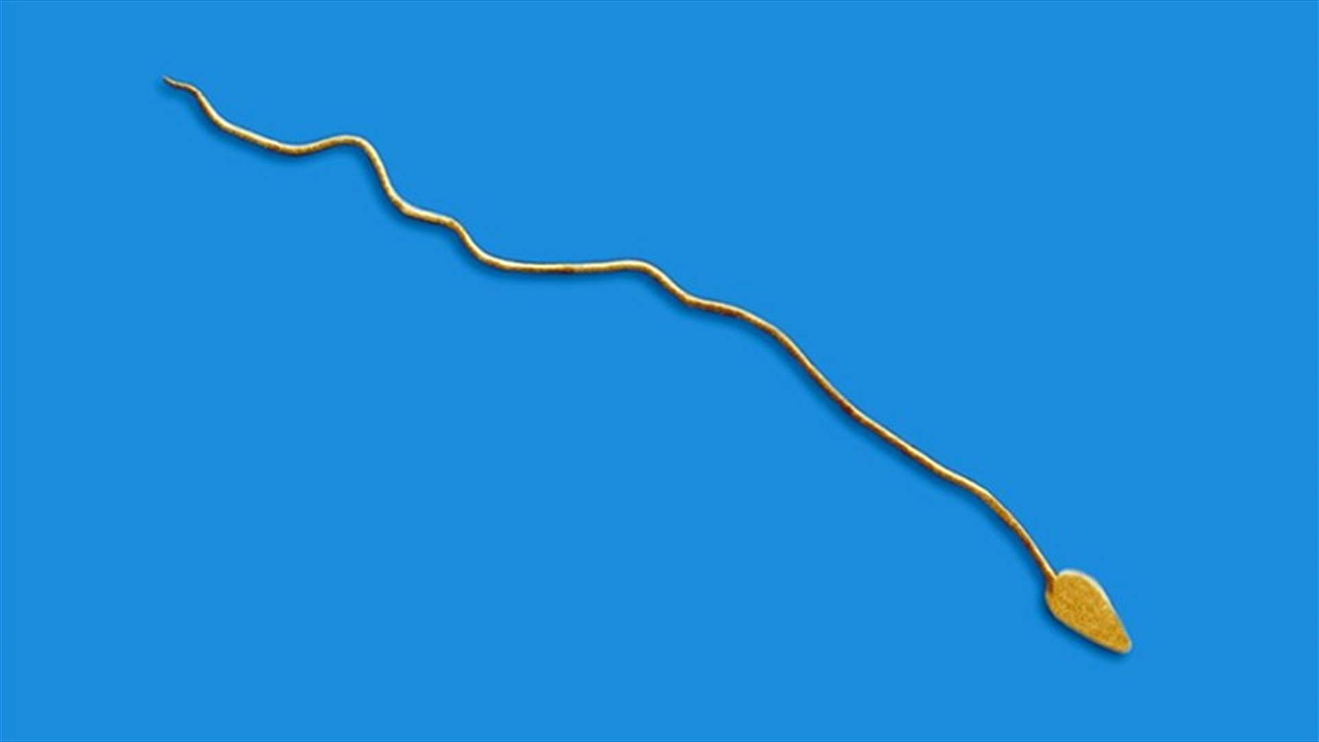 خصوبة الرجال في أدنى مستوياتها... ما السبب وكيف يمكن تجنّب ذلك؟
