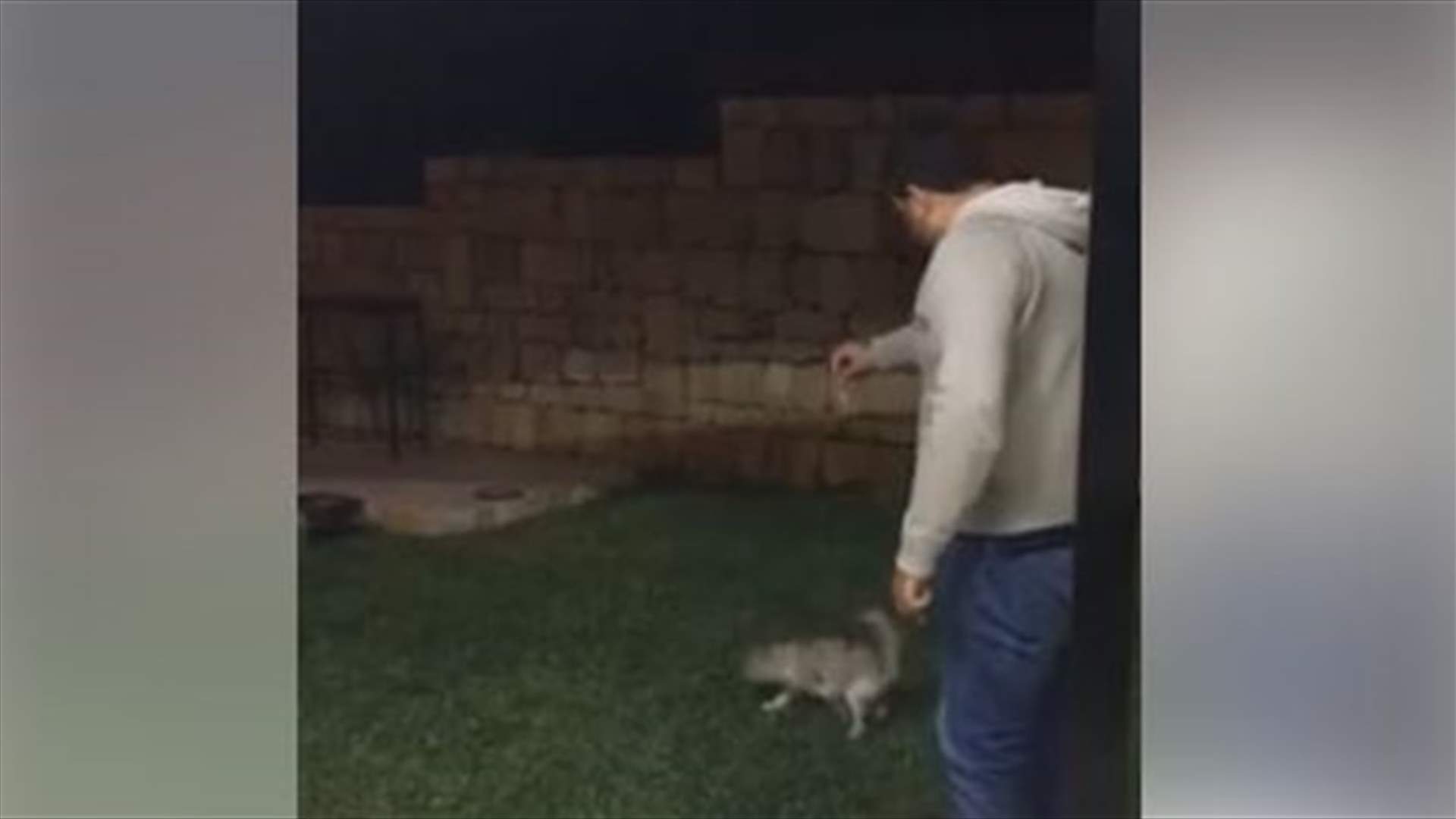 بالفيديو...ما فعله هذا الشاب بالقطة أثار استياء واسعا