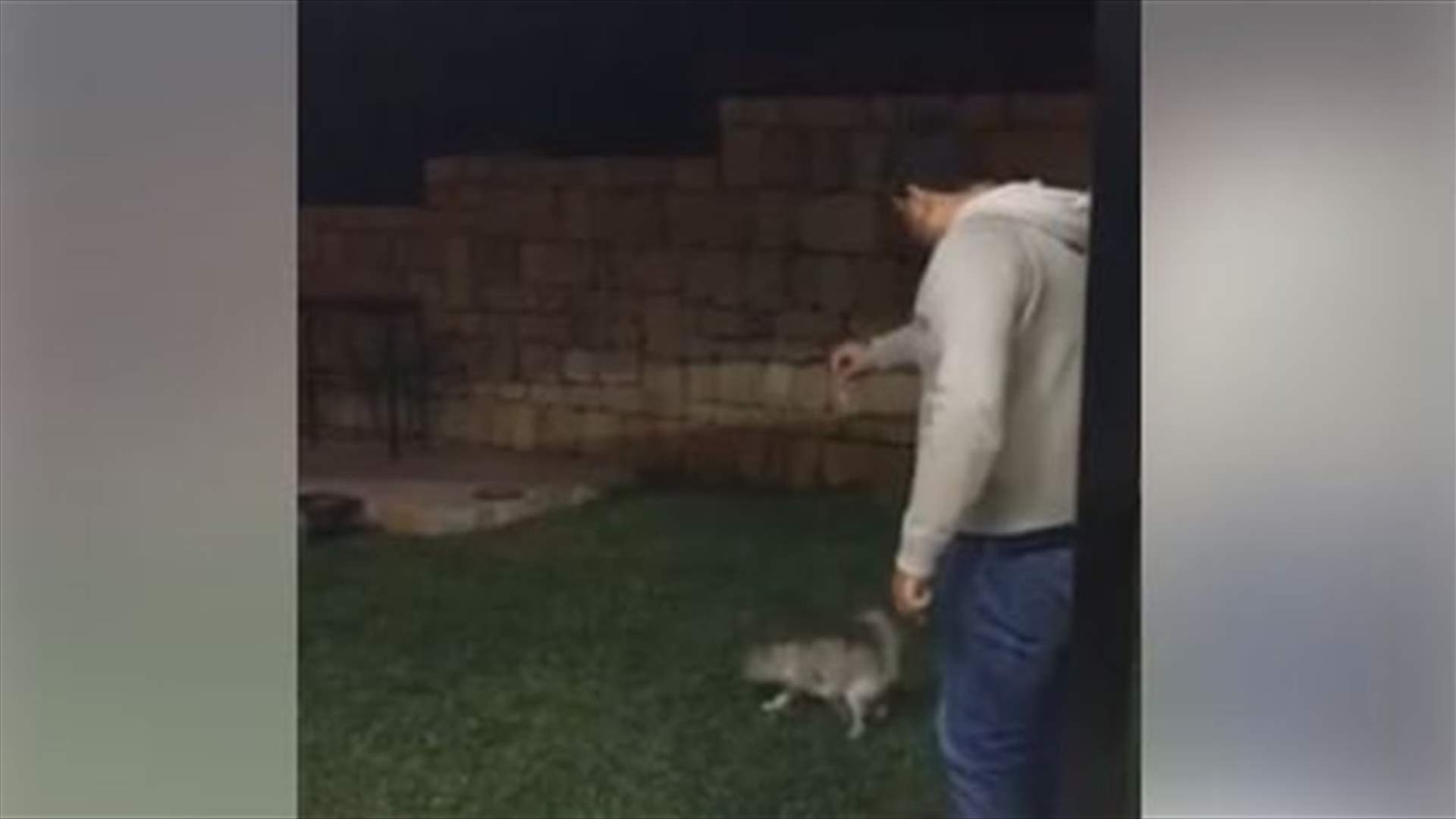 [VIDEO] Heartless man kicks cat so hard that it flew meters away