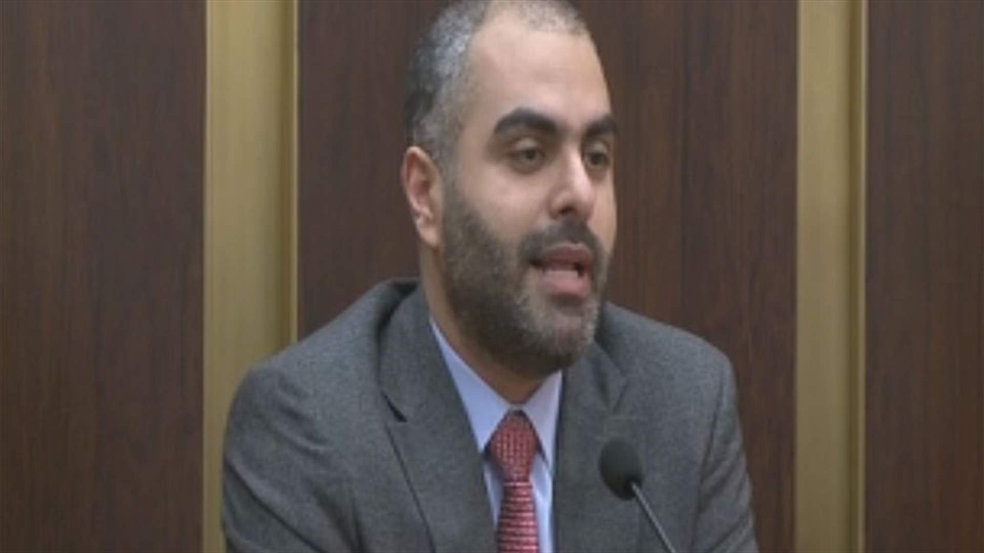 MP Saadeh: Funding the pay scale should be done by ending tax evasions and thefts
