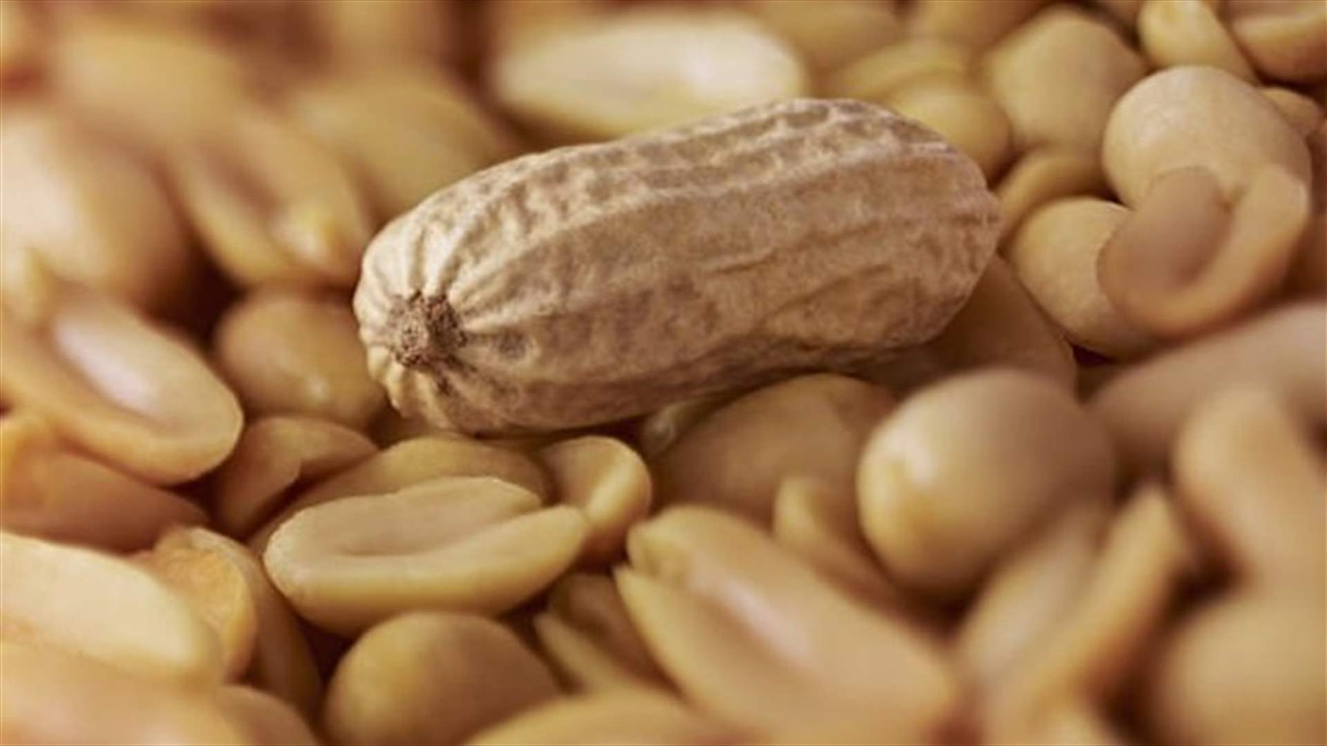الفول السوداني يحميكم من الإصابة بأمراض القلب... وهذه هي الكمية التي يجب تناولها!