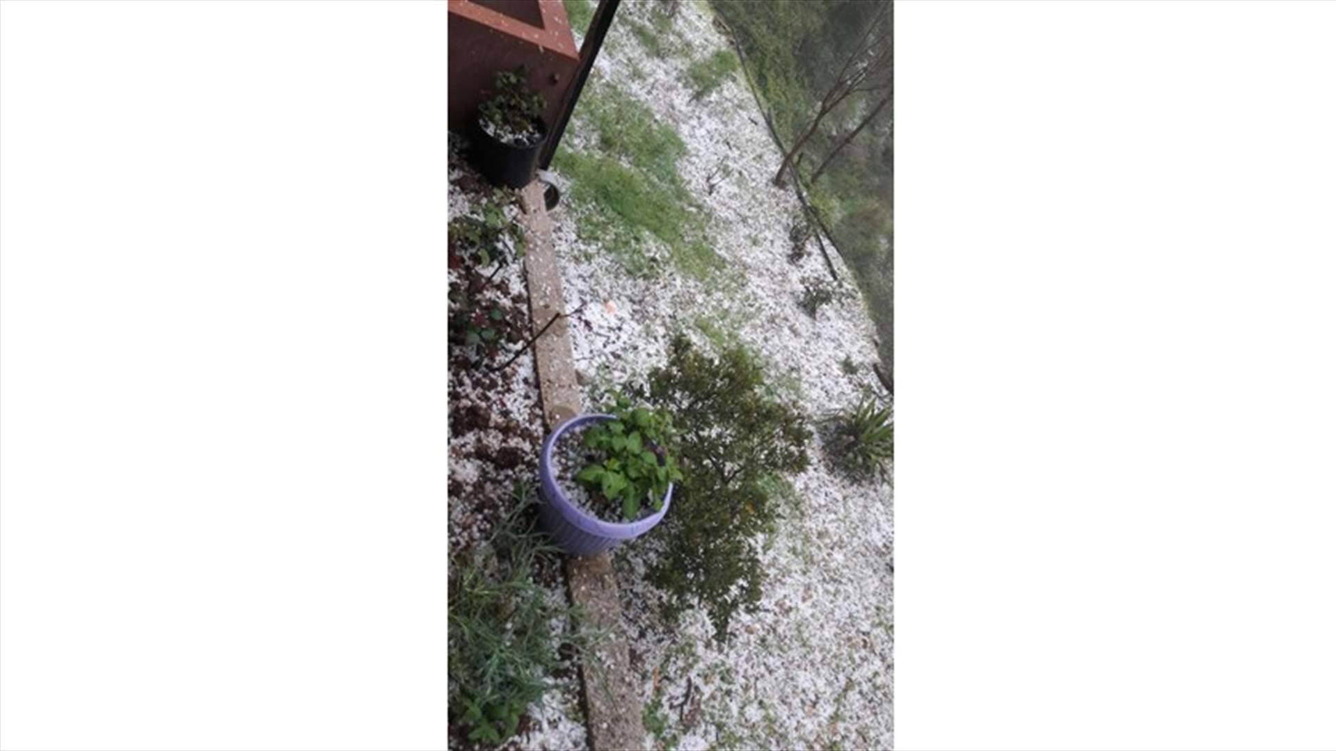 تساقط البرد بغزارة في عكار العتيقة ومحيطها