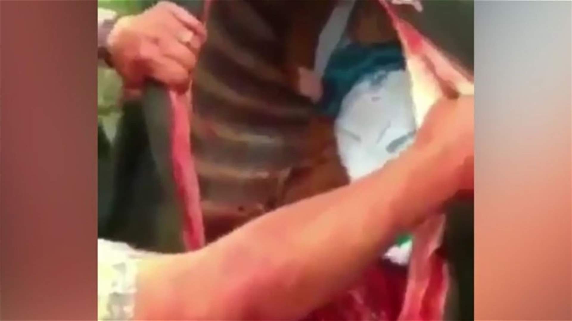 بالفيديو: طقوس غريبة جداً... وضع رضيعاً داخل بطن حيوان!
