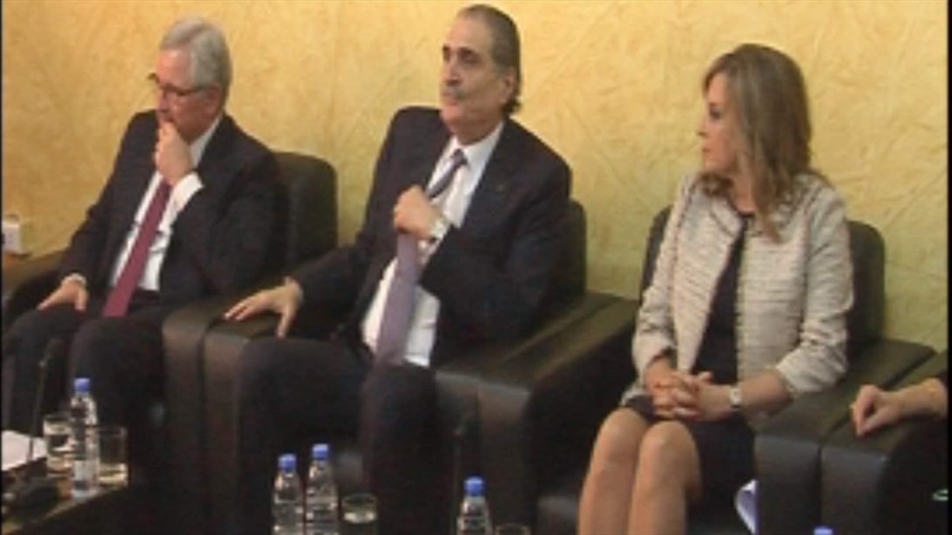جريصاتي سيقترح تعديلات على قانون حماية النساء من العنف الاسري