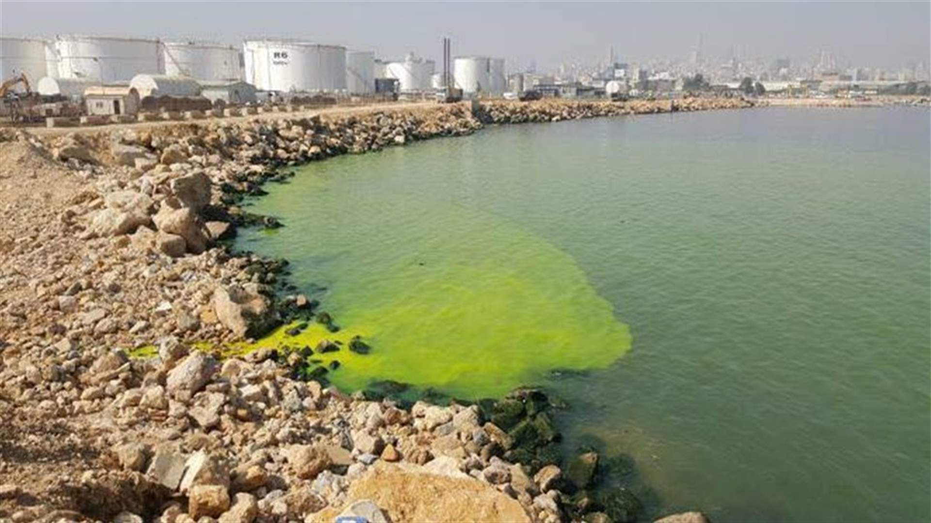 بالصور- "الشعب يريد اصلاح النظام" يتقدم بشكوى...بسبب تسرب مواد كيميائية في البحر