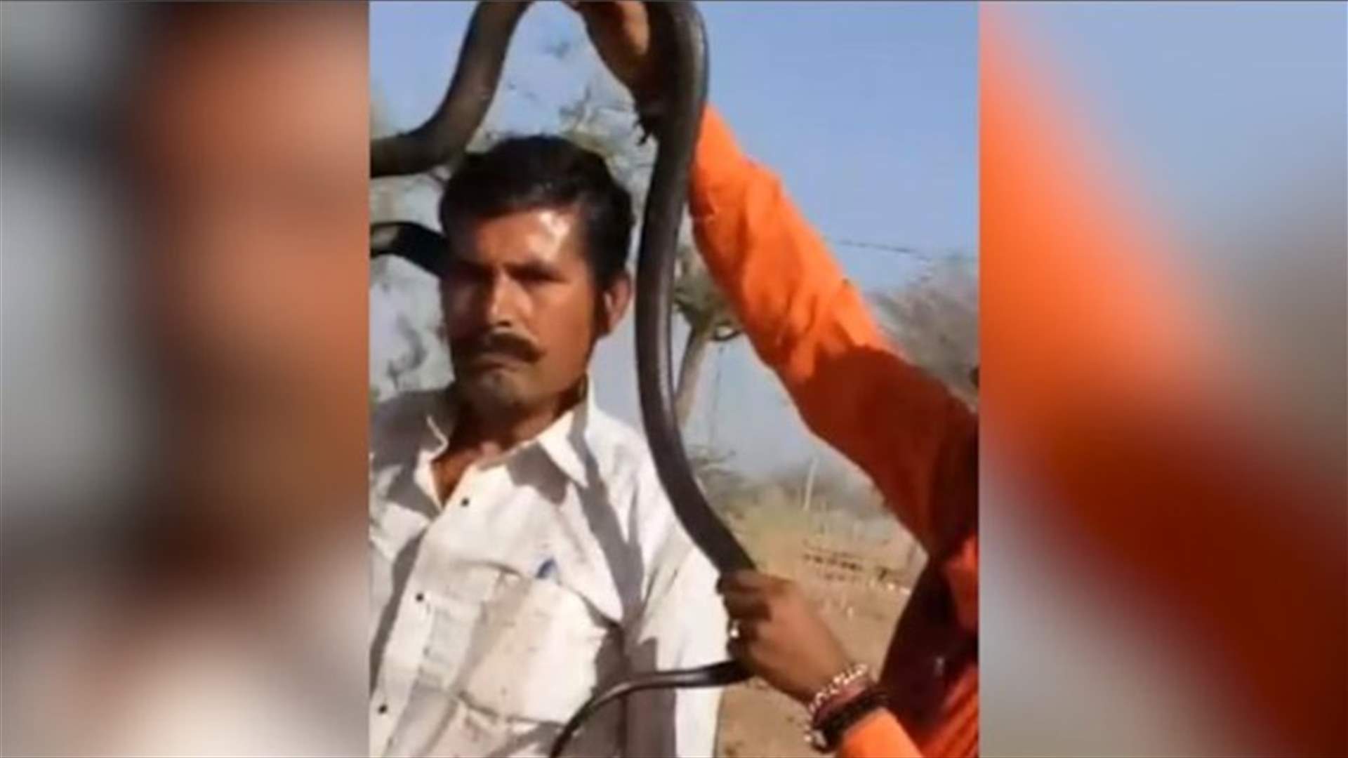 بالفيديو: التقط صورة مع أفعى الكوبرا... فتوفي بعد لحظات