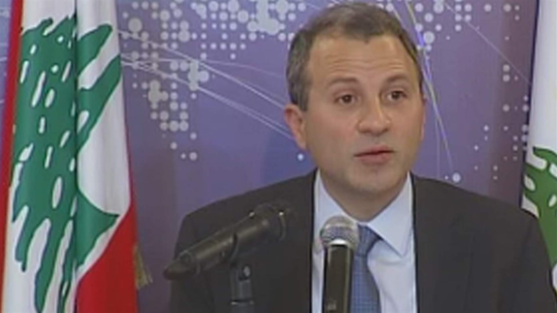 Bassil calls for a new vote that gives apt representation for Lebanese expatriates