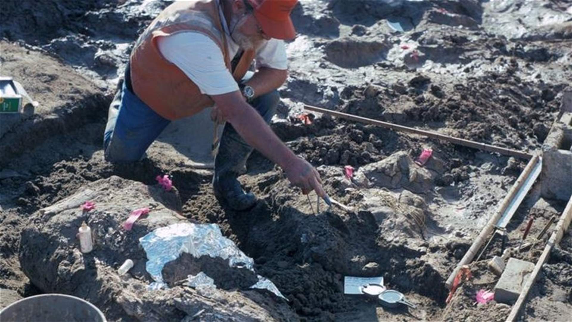 بالصور - ما عثروا عليه كشف أن الإنسان وصل إلى الأميركيتين قبل 130 ألف سنة