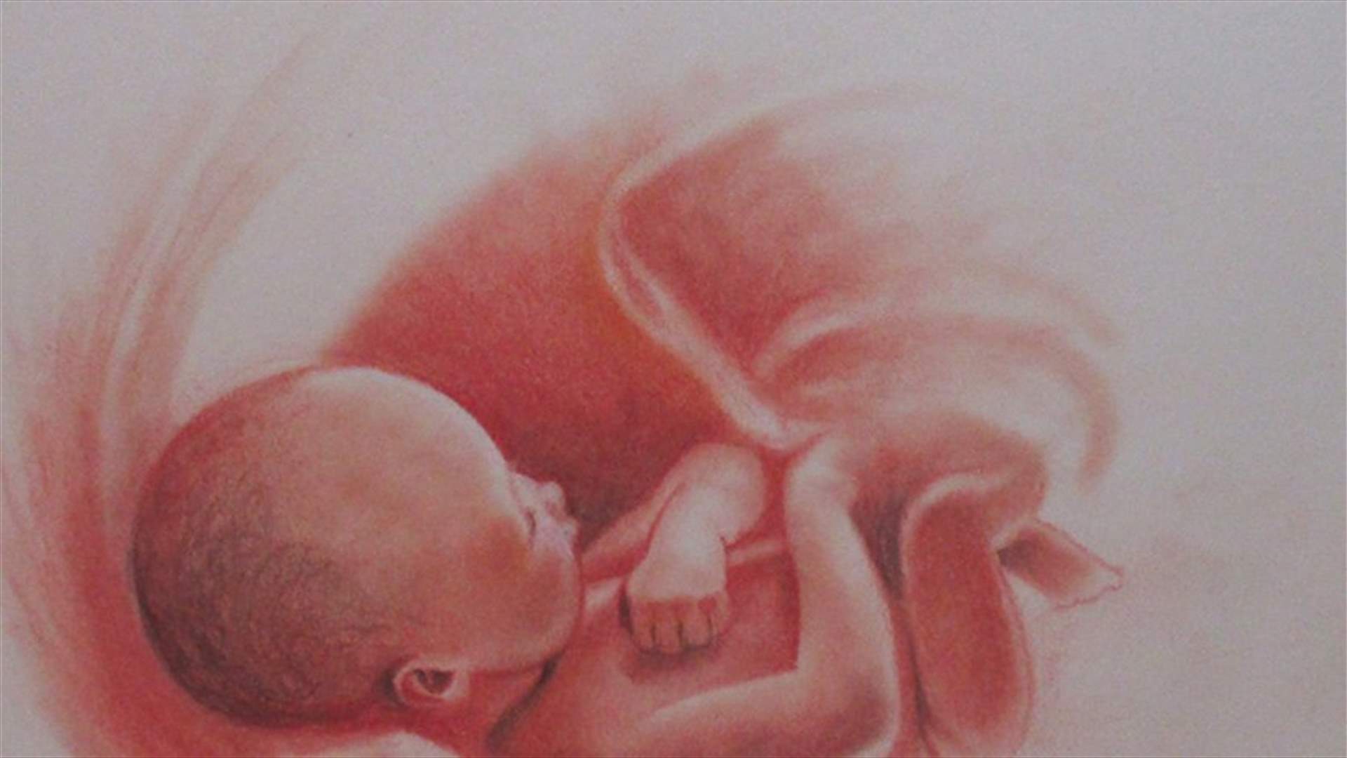 Scientists Develop Fluid-Filled Artificial Womb To Help Premature Babies
