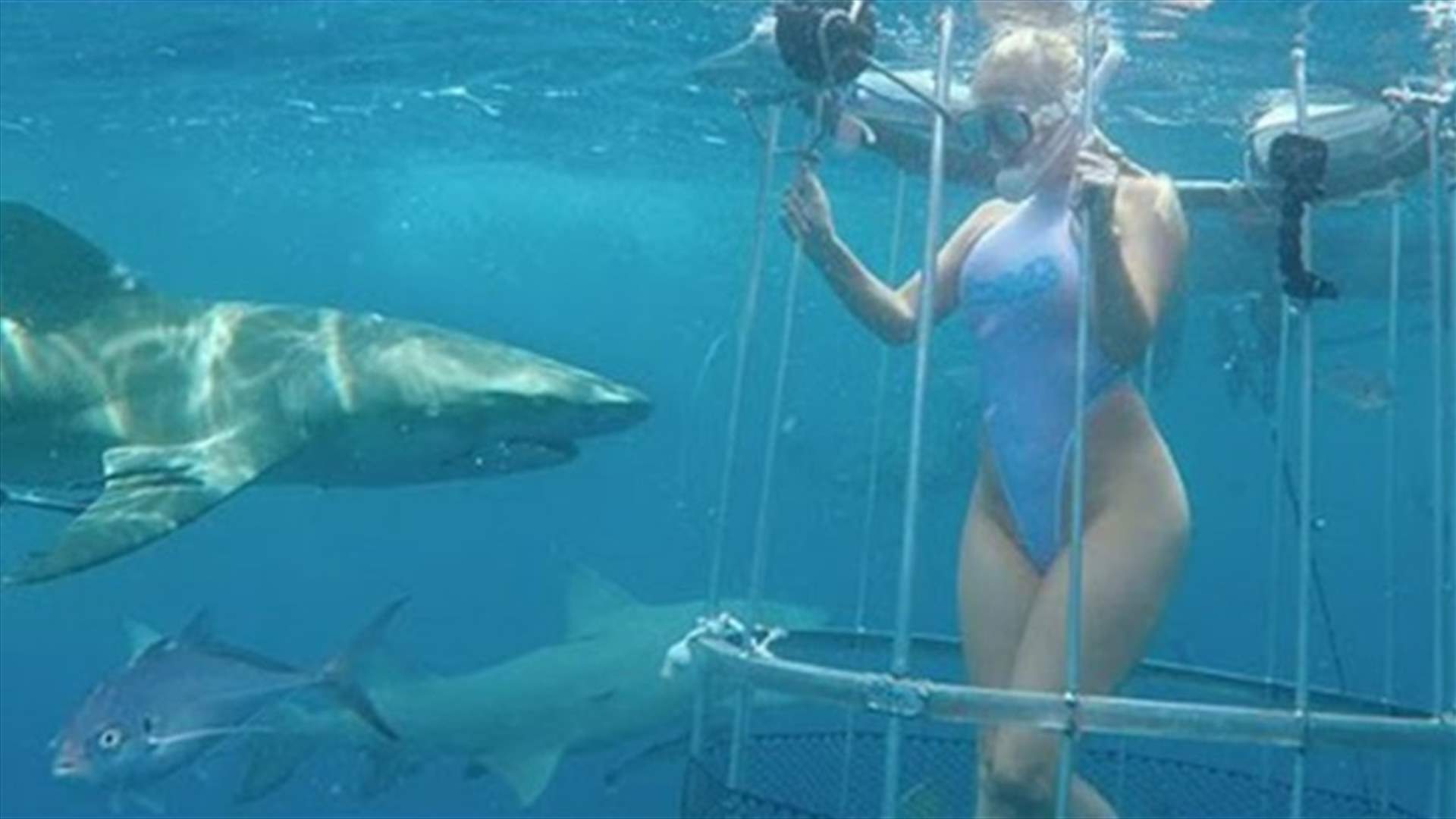 بالفيديو: نجمة إباحية تتعرّض لإصابة مؤلمة أثناء جلسة تصويرية... في قلب البحر!