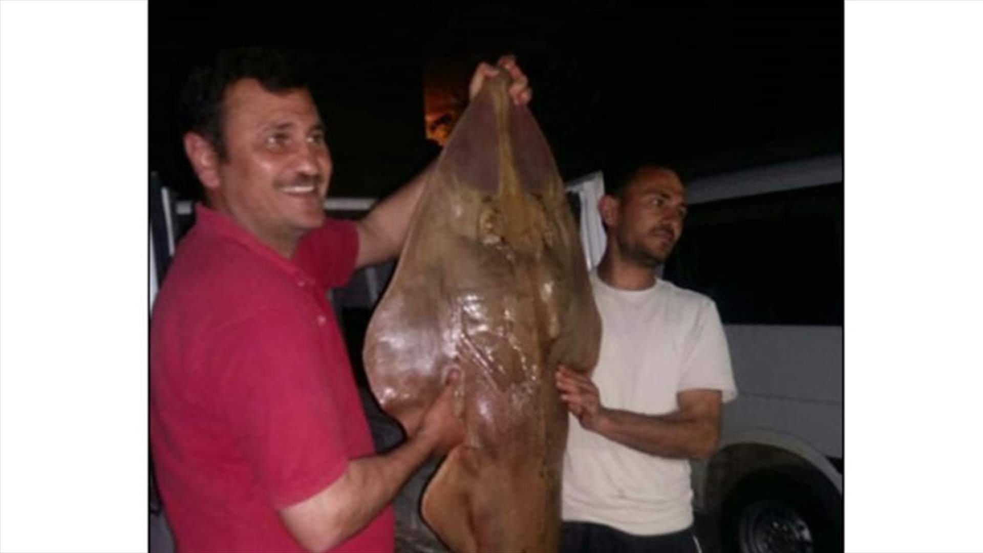 اصطياد "سمكة مر" في مرفأ ببنين
