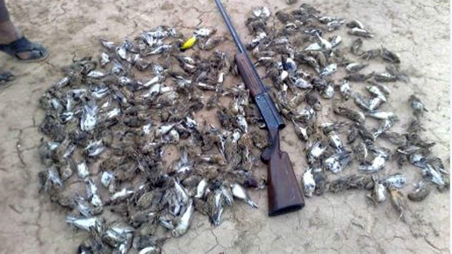 يوسف اصطاد خارج اوقات موسم الصيد وعرض الصور فادعى عليه وزير البيئة