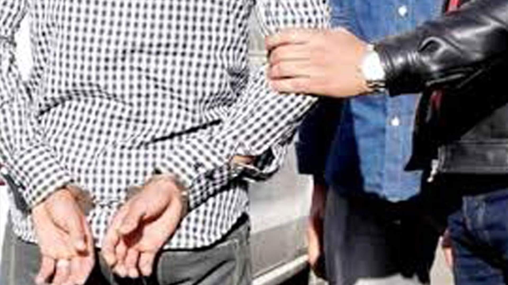 توقيف لبنانيين وسوريين في النبطية...