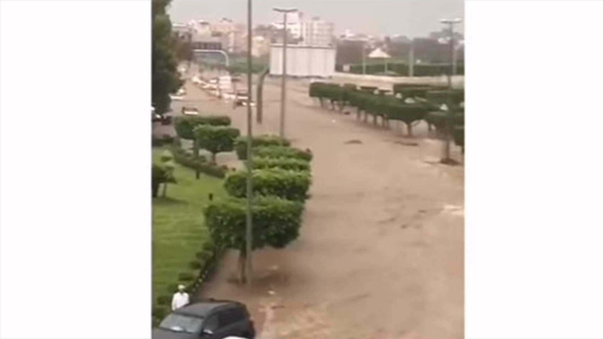بالفيديو:هكذا استمتع شابان بالسيول التي اغرقت "الطائف" في السعودية
