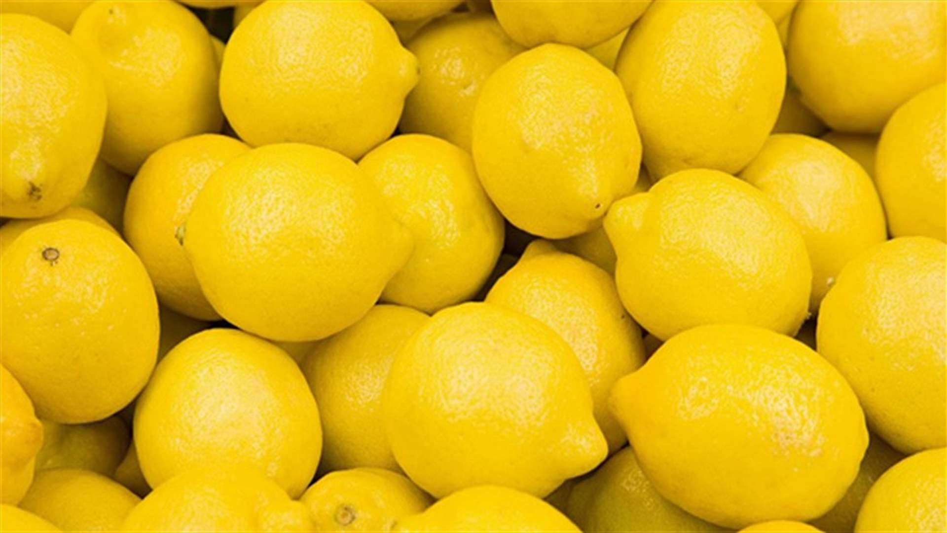 [PHOTO] Breast Cancer Indicators Explained Through Lemons