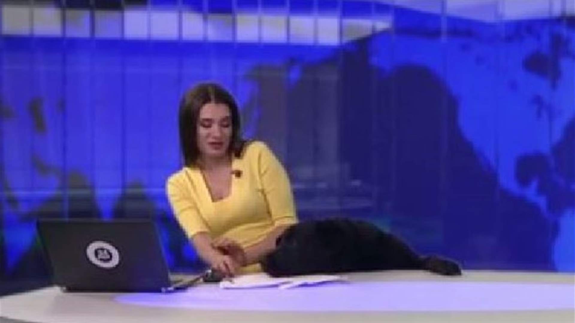 بالفيديو- كلب يقتحم استديو الأخبار في روسيا...ماذا فعلت المذيعة؟