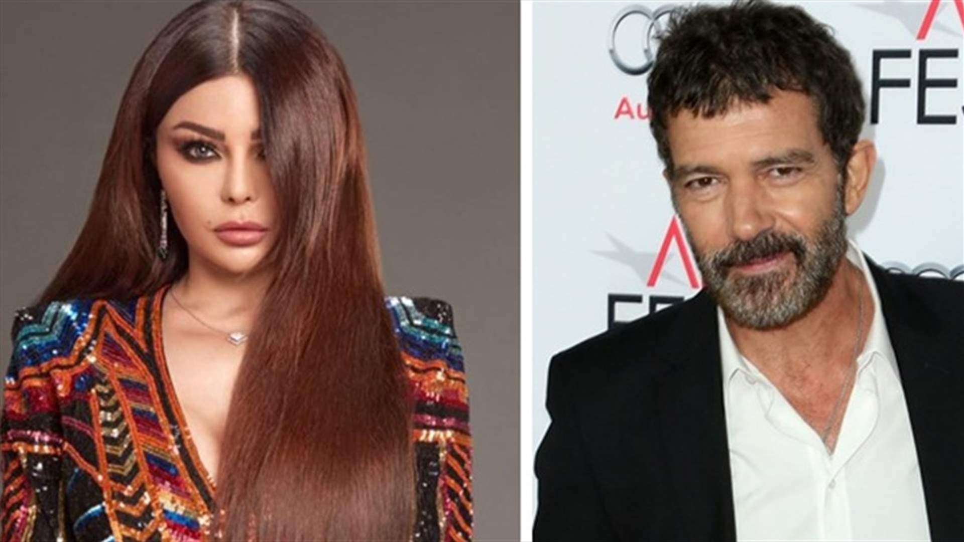 بعدما ذُهل بجمالها.. خطوة جريئة من أنطونيو بانديراس تجاه هيفا وهبي
