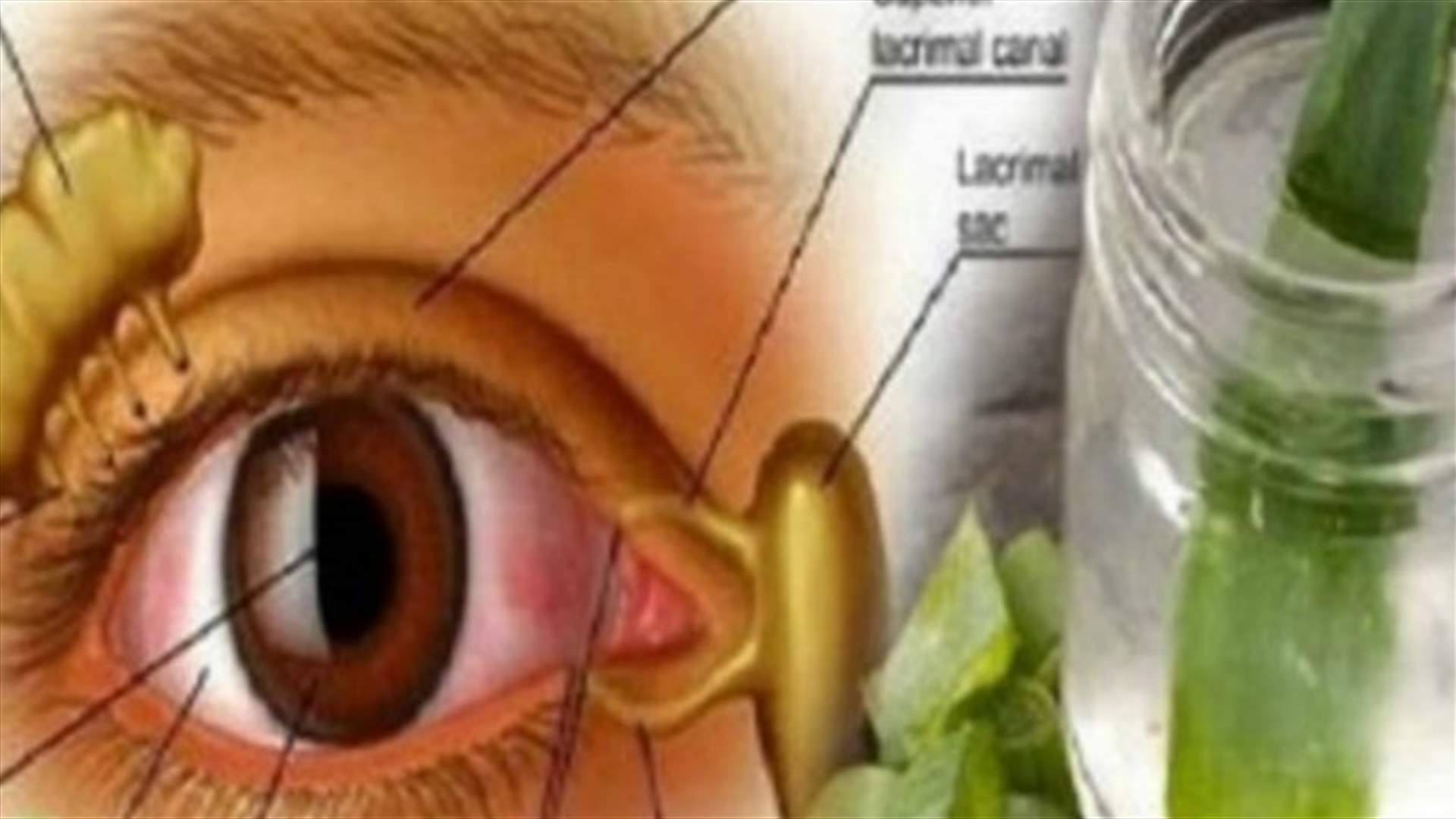 وصفة طبيعية مذهلة... للحفاظ على صحة بصركم!