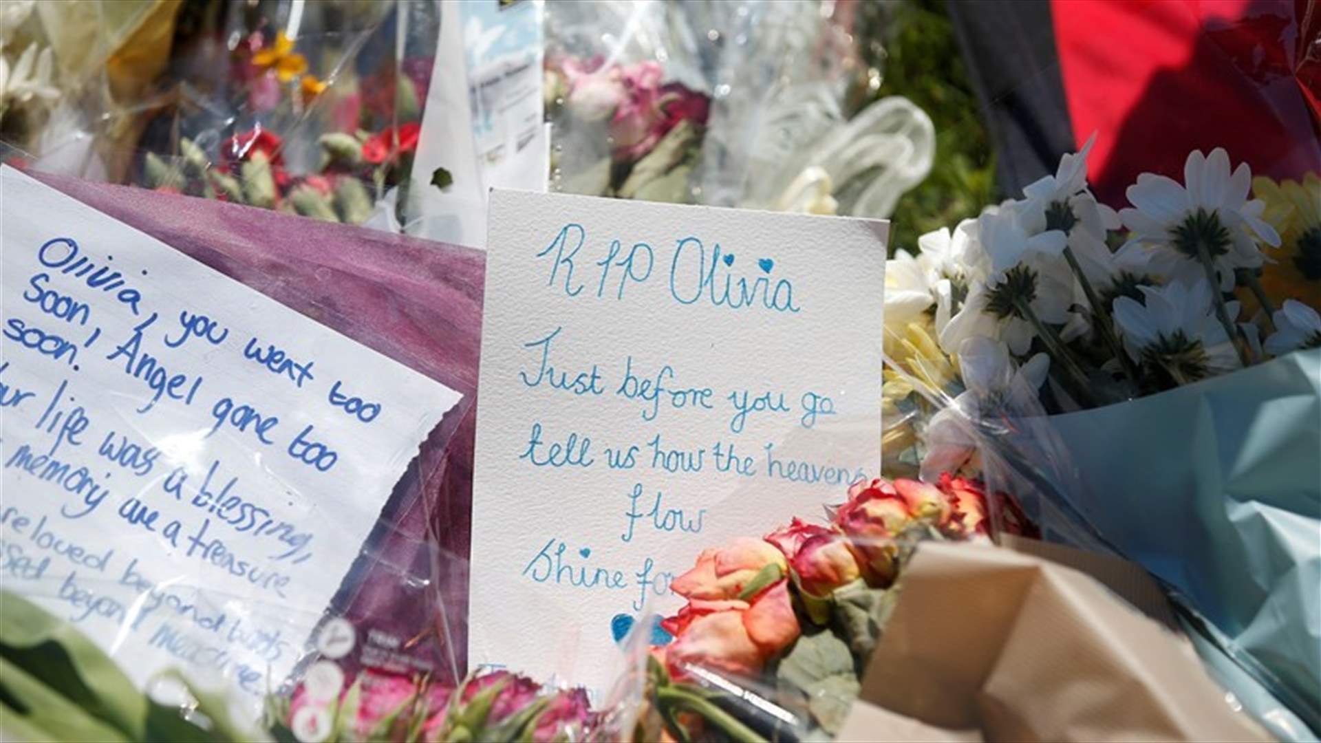 UK police arrest two more in hunt for suicide bomber's network