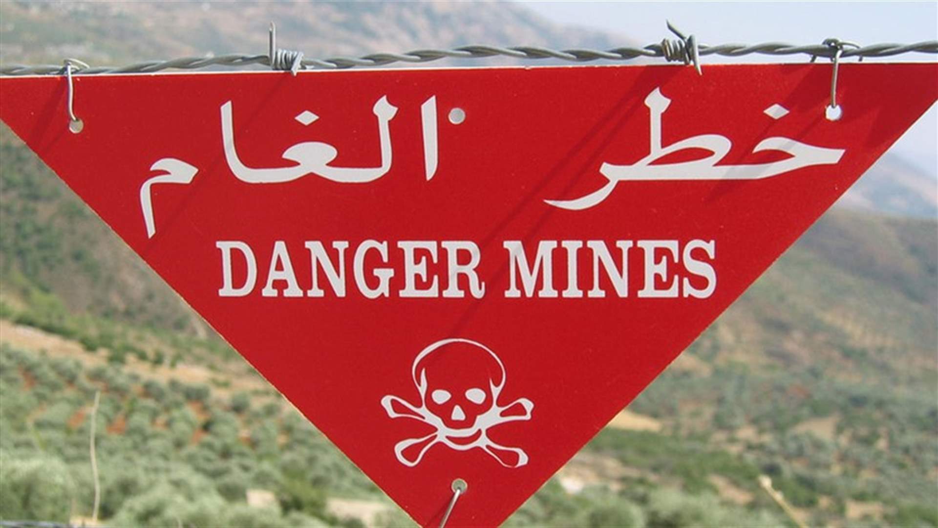 اصيب بانفجار لغم خلال قطفه الزعتر!