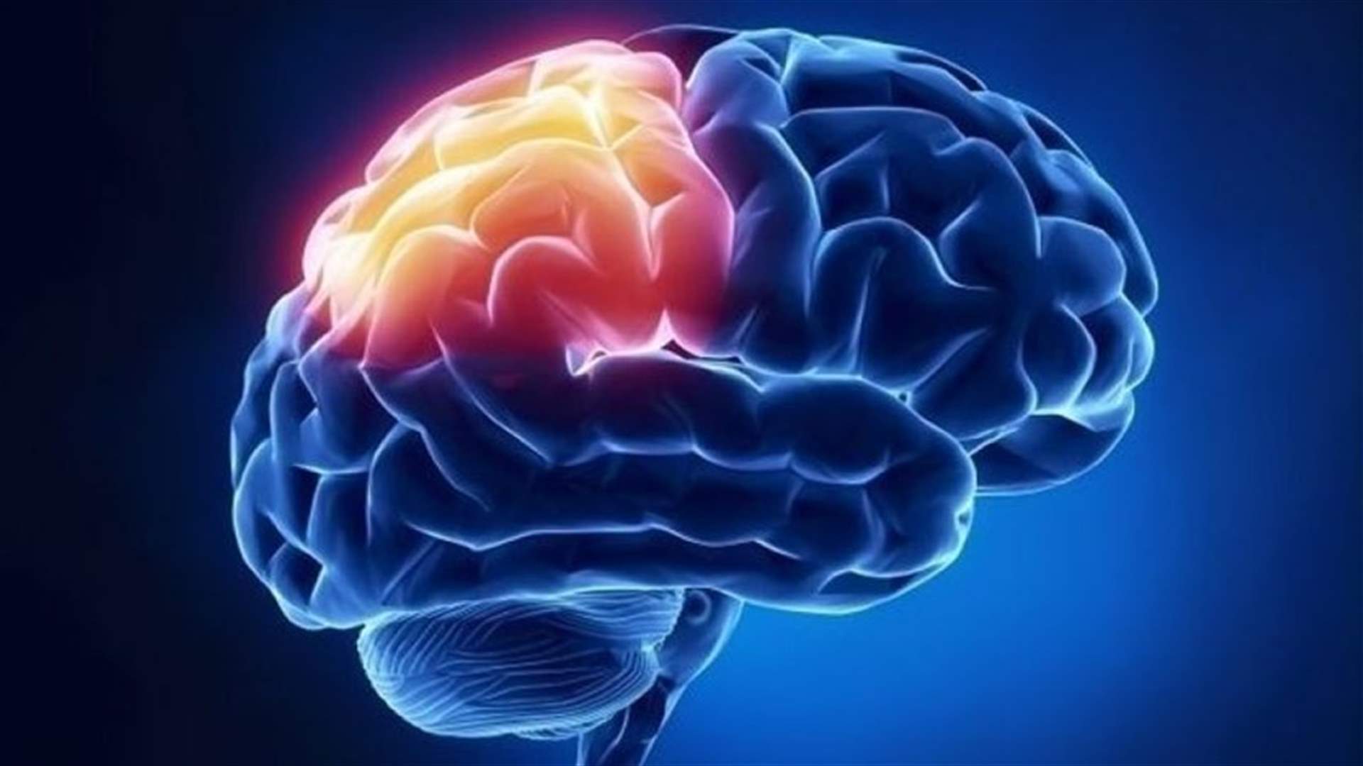 دراسة جديدة... زيت الزيتون قد يحمي من سرطان الدماغ