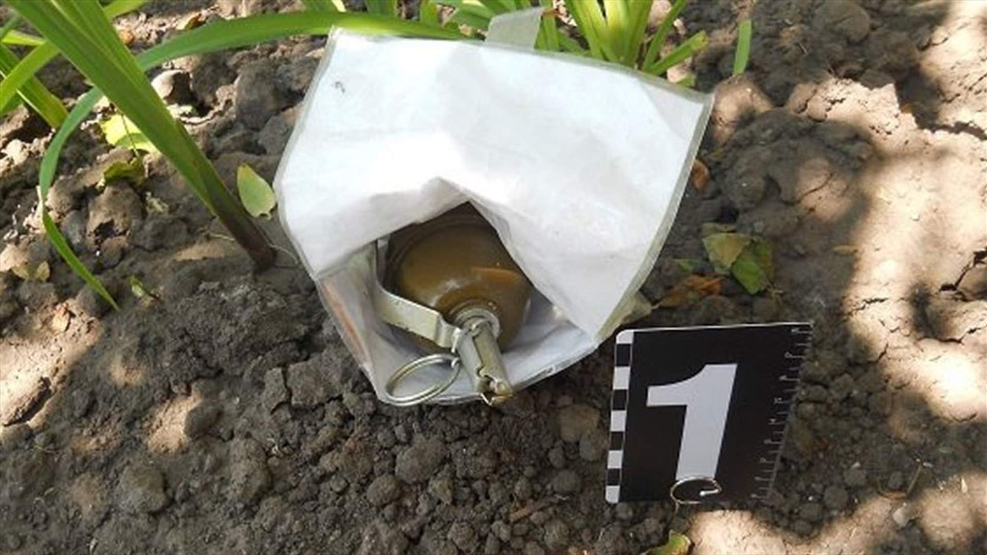 Explosive device thrown into US embassy compound in Kiev - police