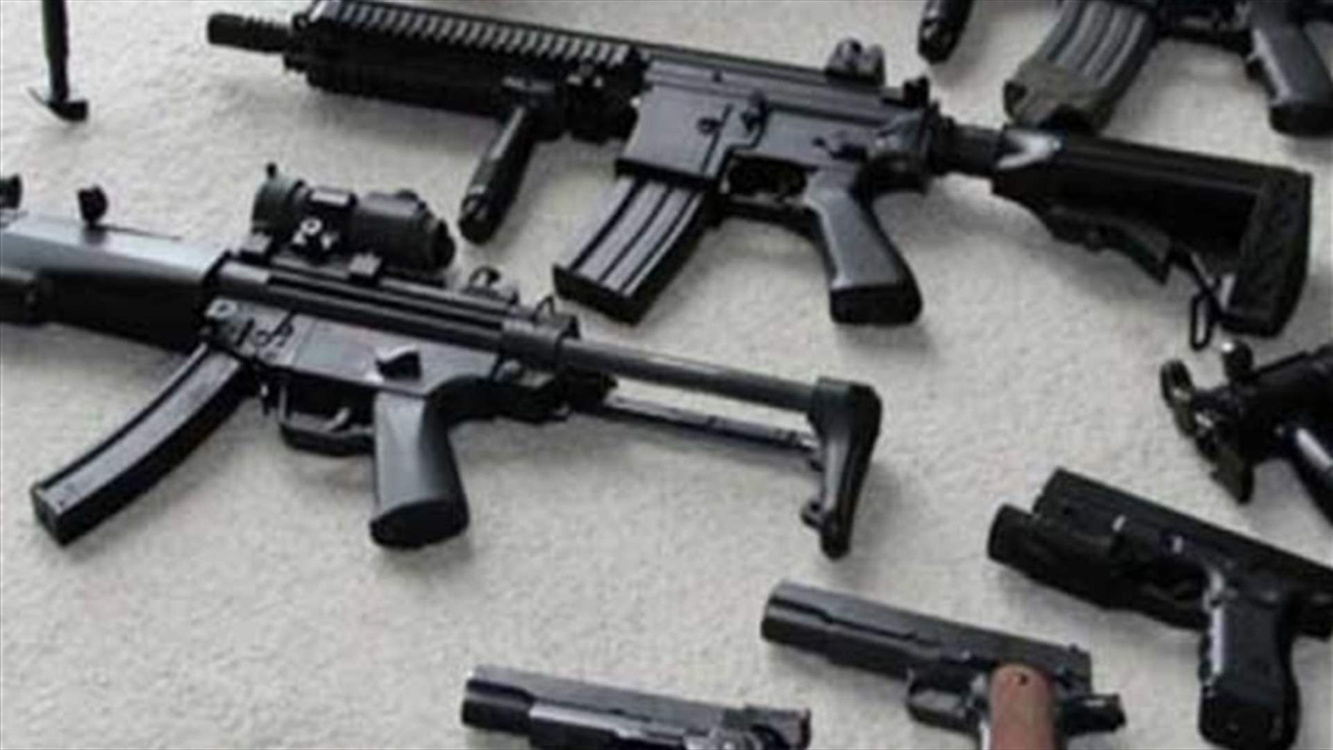Defense minister revokes all arms licenses issued in 2016