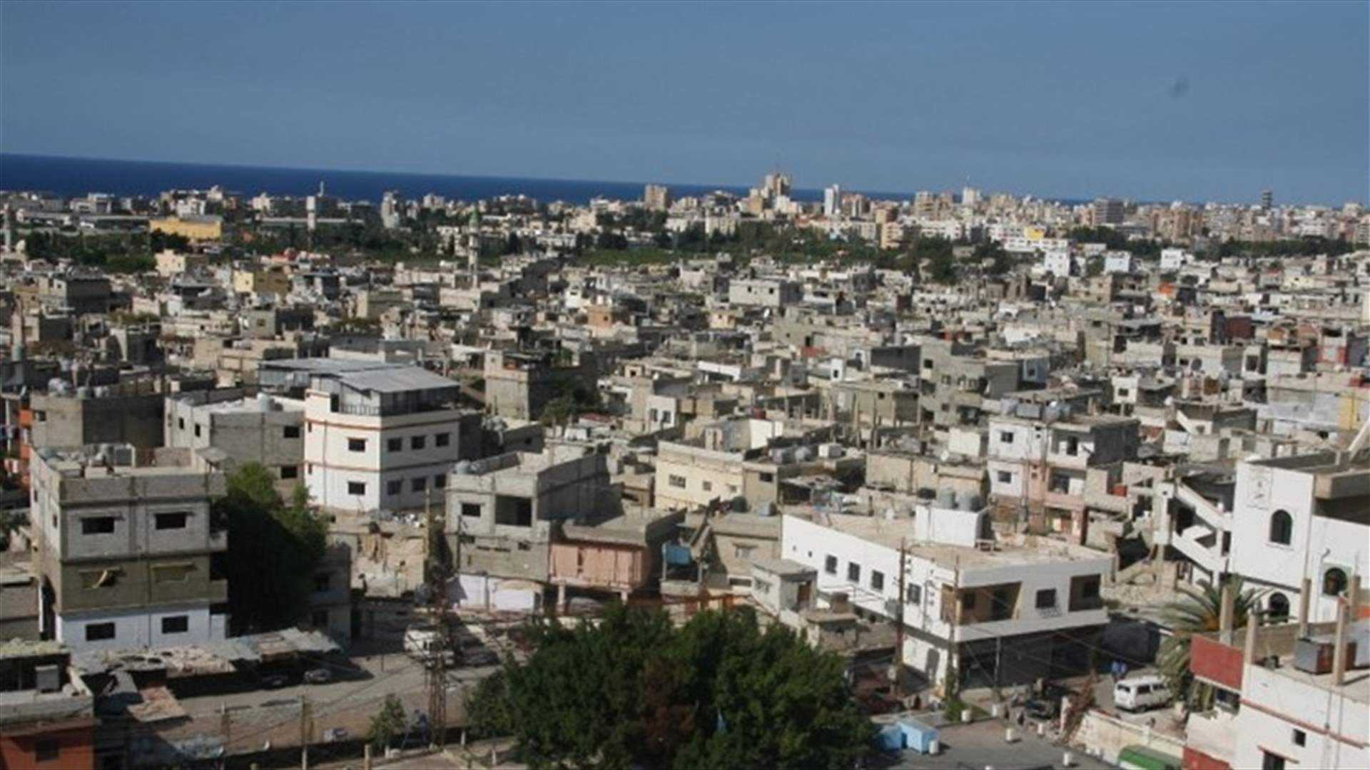انفجار قنبلة في عين الحلوة