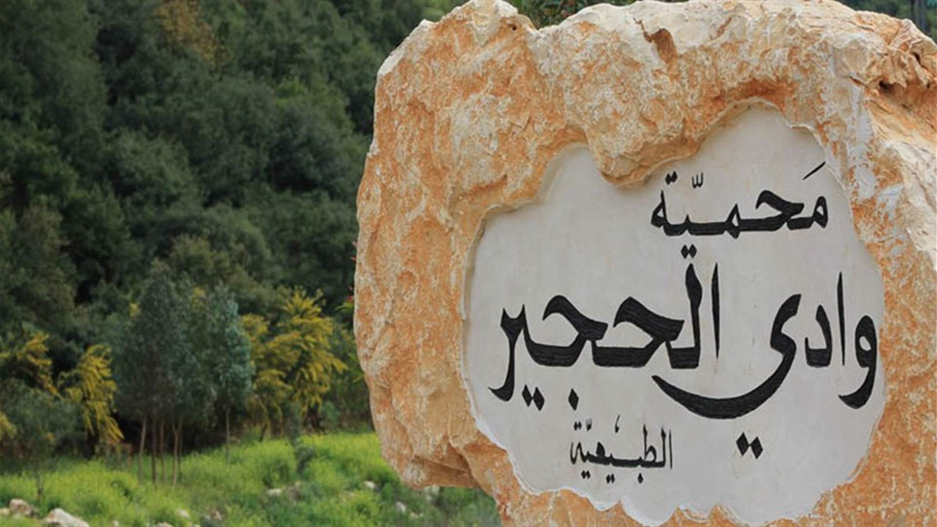 ما صحة موافقة وزارة الداخلية على ترخيص لكسارة في وادي الحجير؟