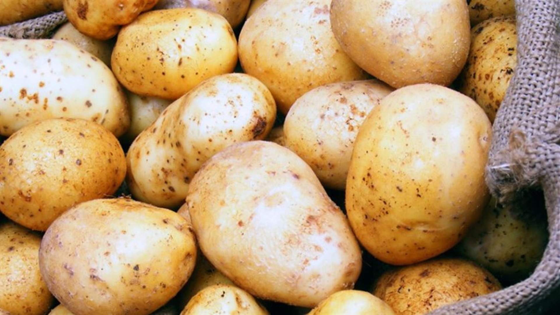 مزارعو البقاع: الوزارة لا تسمح بتصدير الفي طن من البطاطا ولا باستردادها من مرفأ بيروت