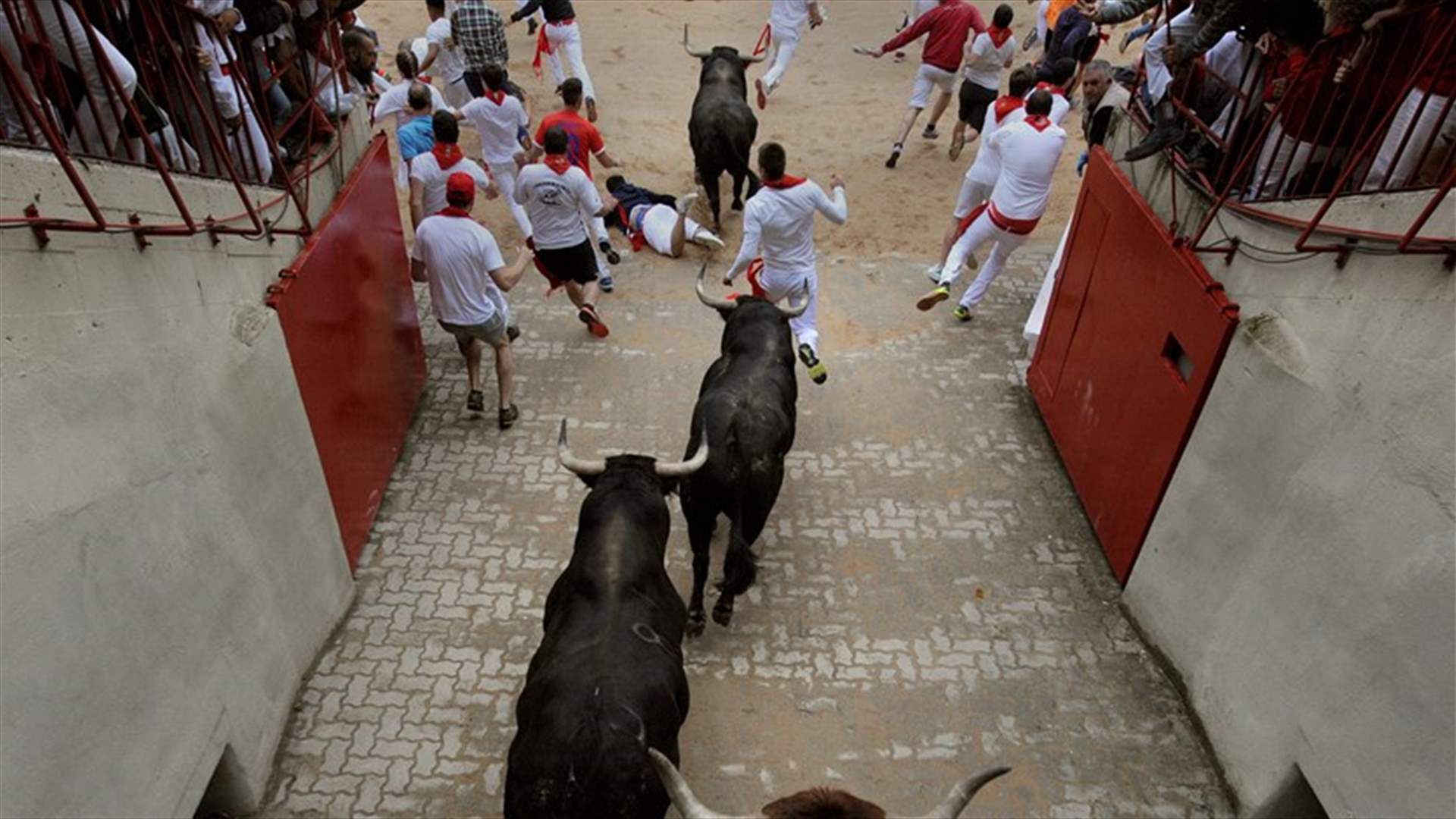 إصابتان خلال المهرجان السنوي لمطاردة الثيران في اسبانيا