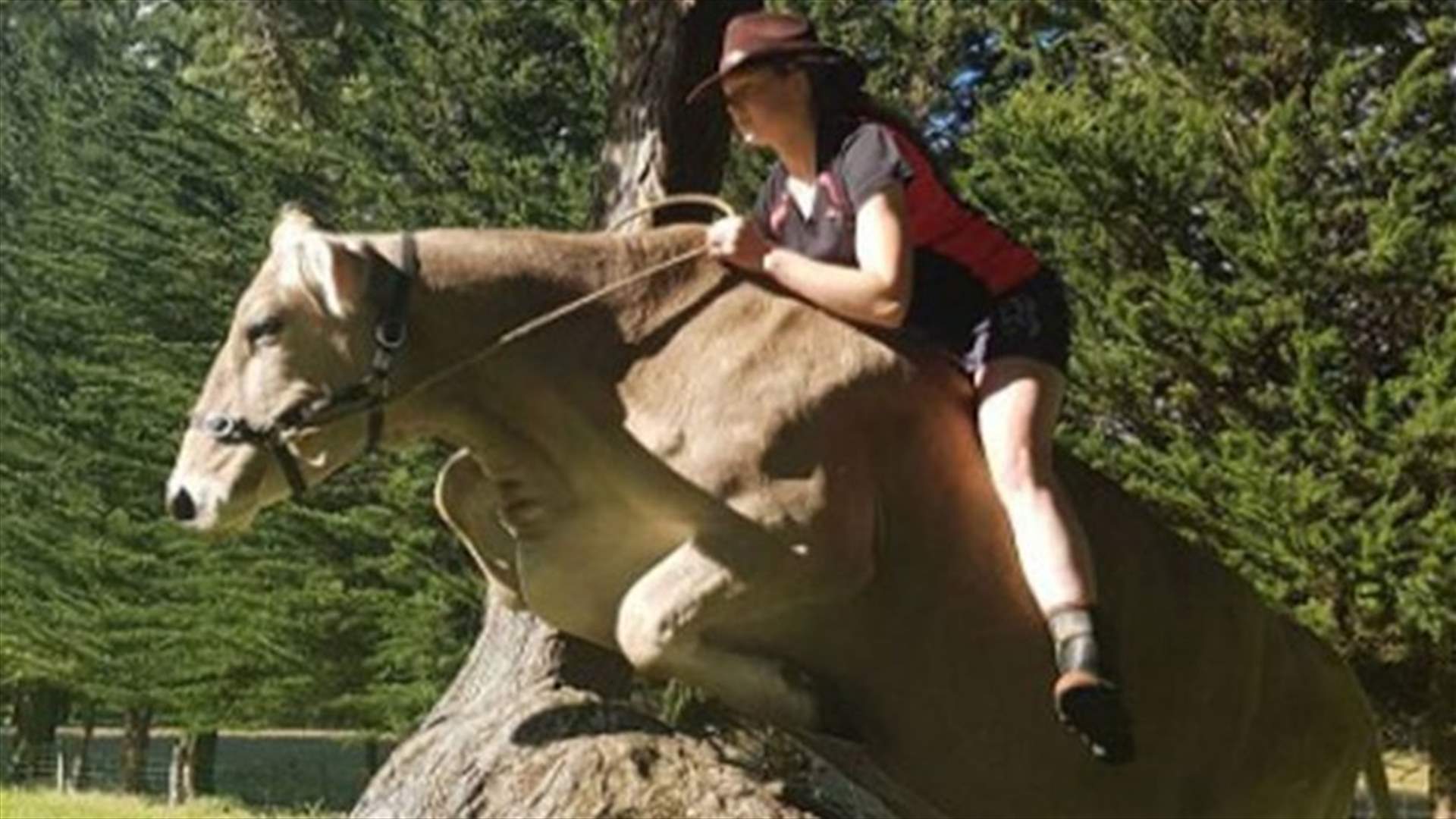 VIDEO - Girl Trains Cow To Jump Like A Horse – And It's Amazing