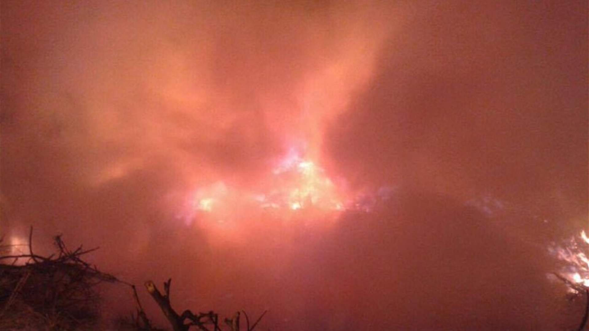 بالصور- حريق كبير في كرم الزيتون بالاشرفية