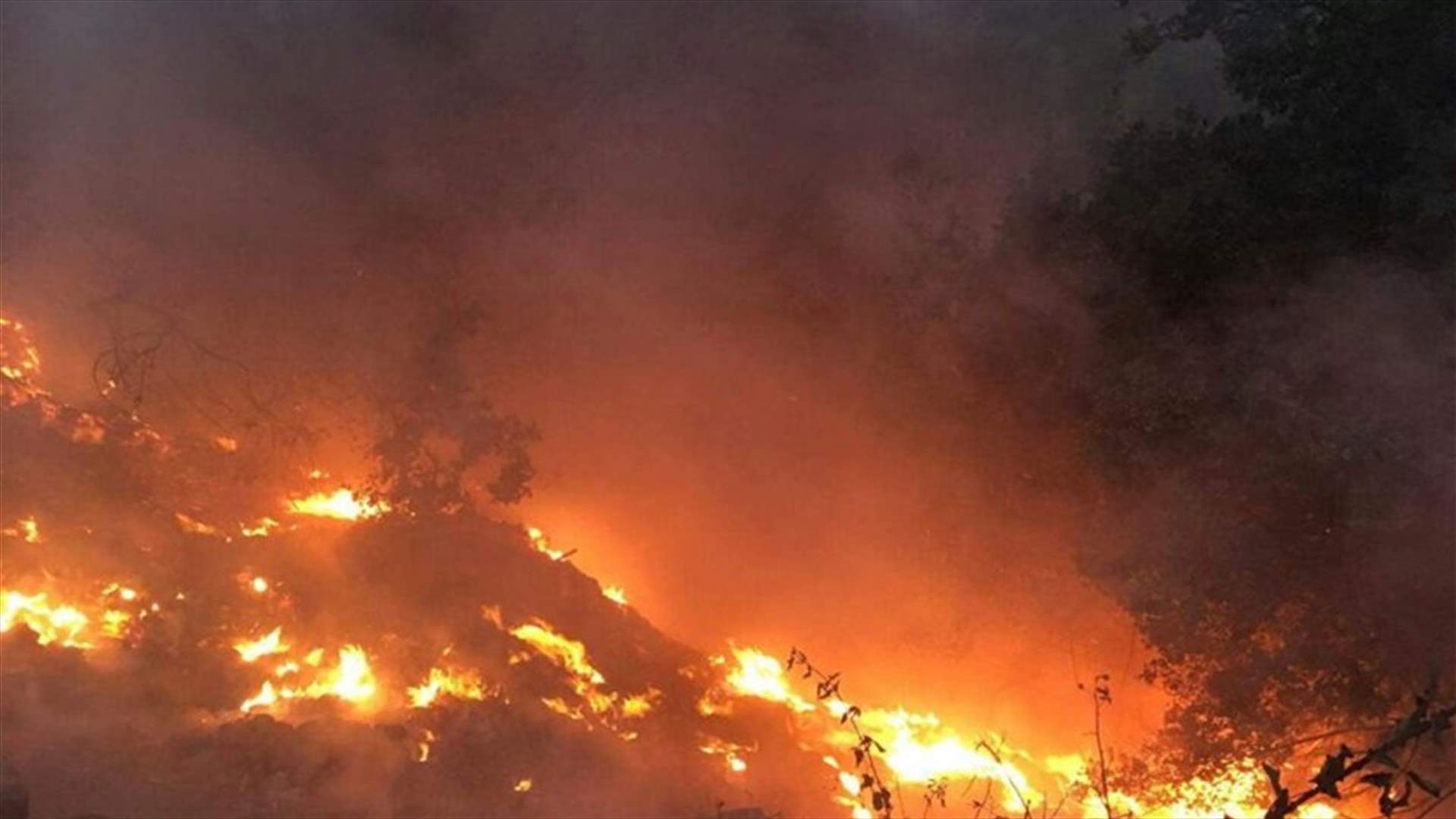 حريق باحراج وادي جهنم في عكار