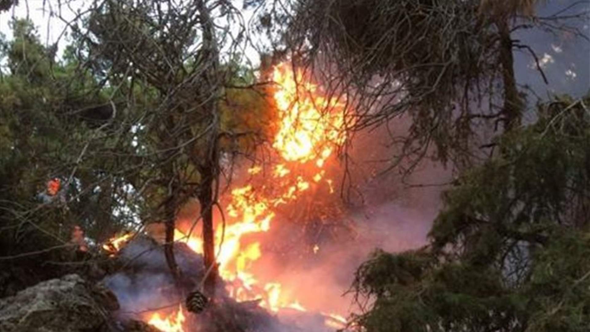 تجدد الحريق في القبيات... والدخان يعيق عمل فرق الاطفاء