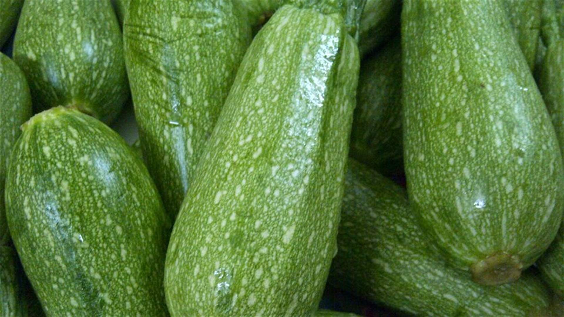 بالصورة - حبة كوسا عملاقة في الشيخ محمد... فكم بلغ حجمها؟