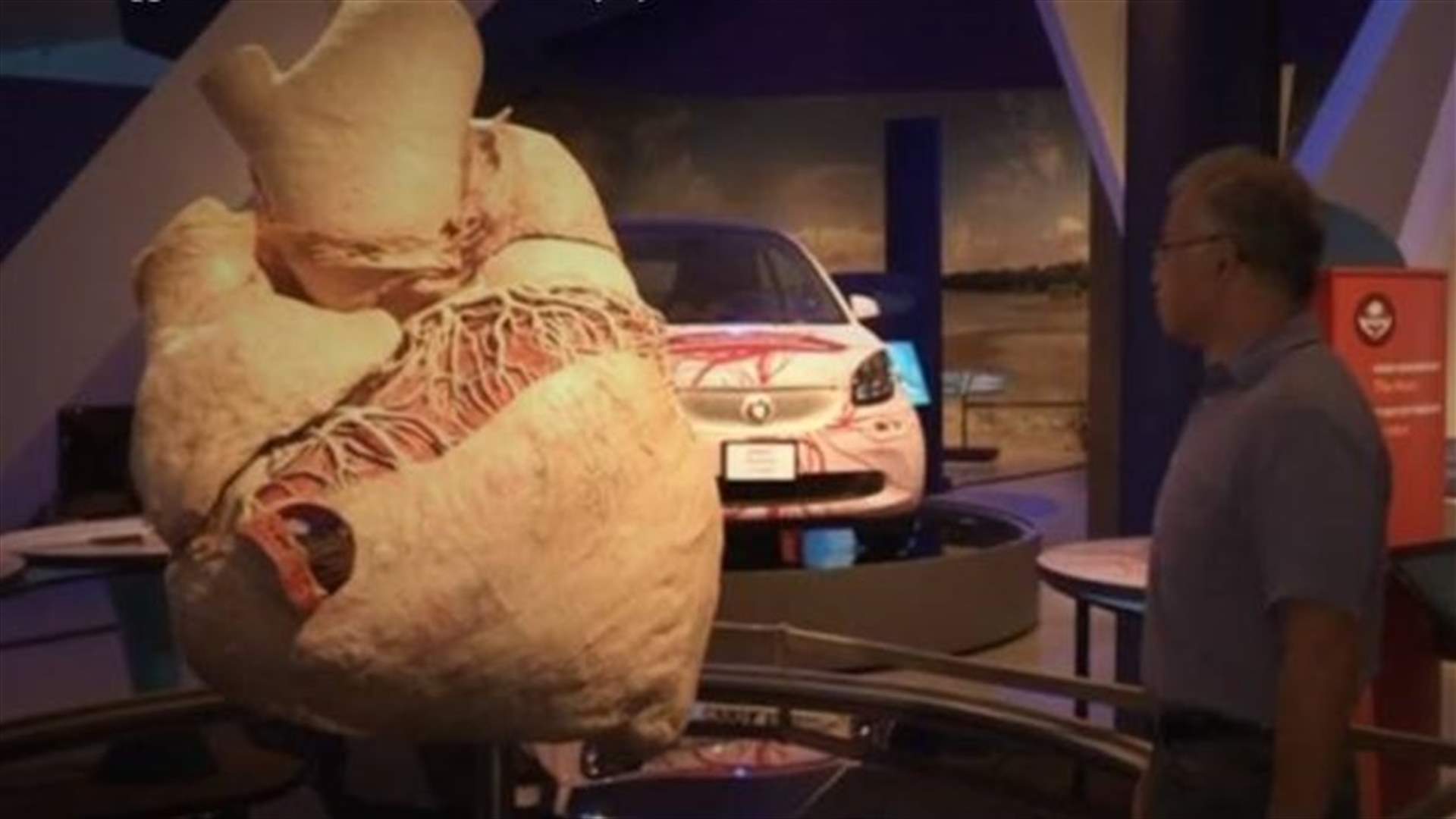 Beat That: Biggest Heart Ever Goes On Display In Toronto