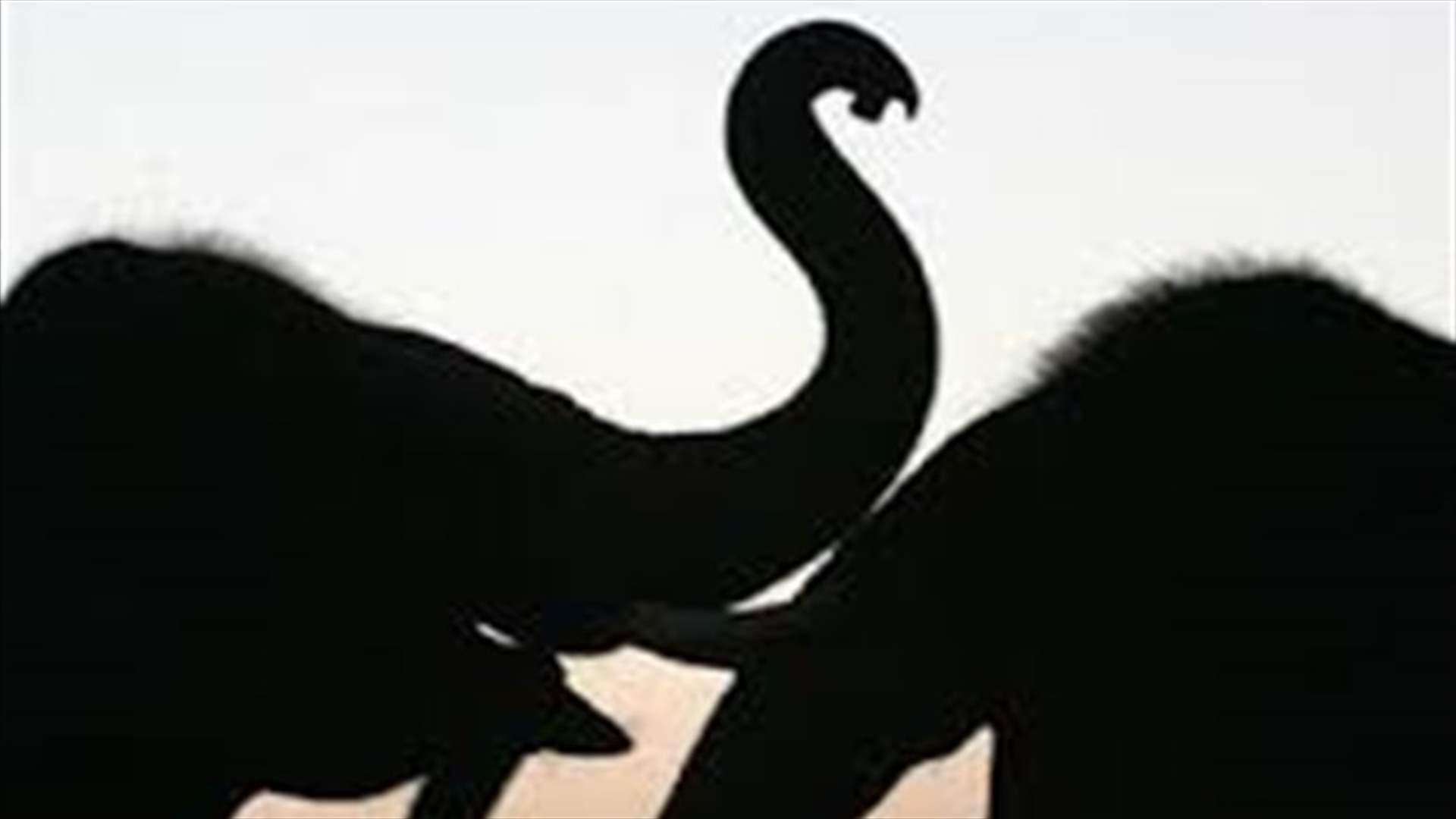 Elephants help rescue hundreds from flooded Nepali safari park