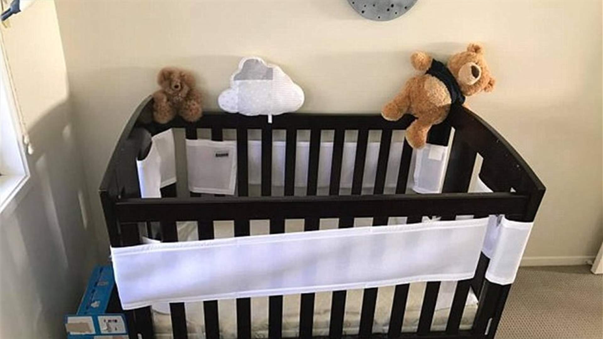 أين الأفعى في هذه الصورة؟