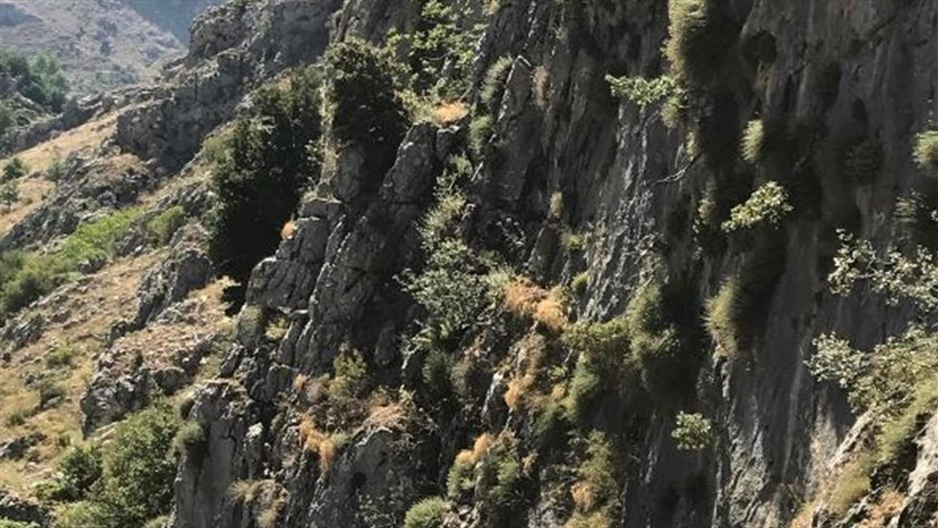بالصور- باسيل يتسلق الجبال