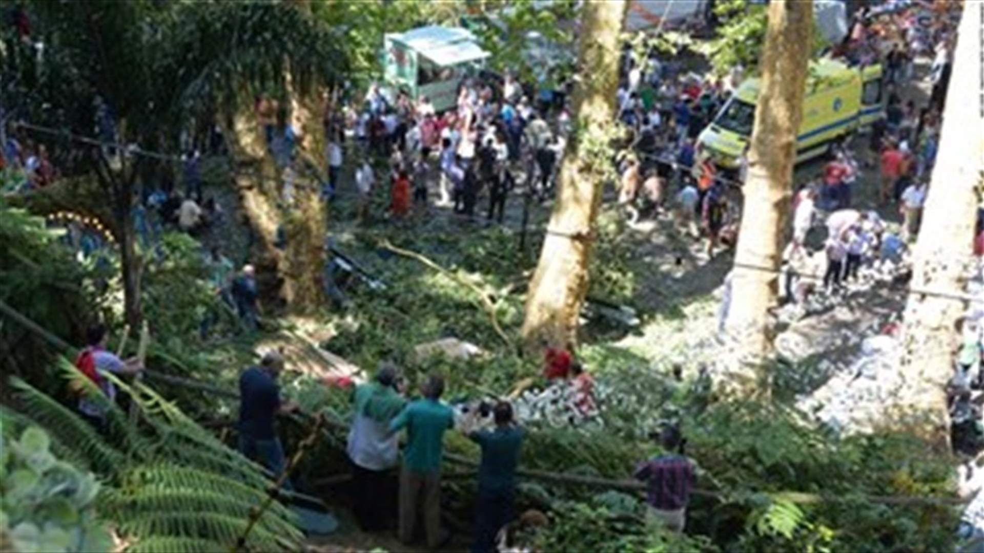 [VIDEO] Falling tree kills 12 at Catholic festival in Portugal